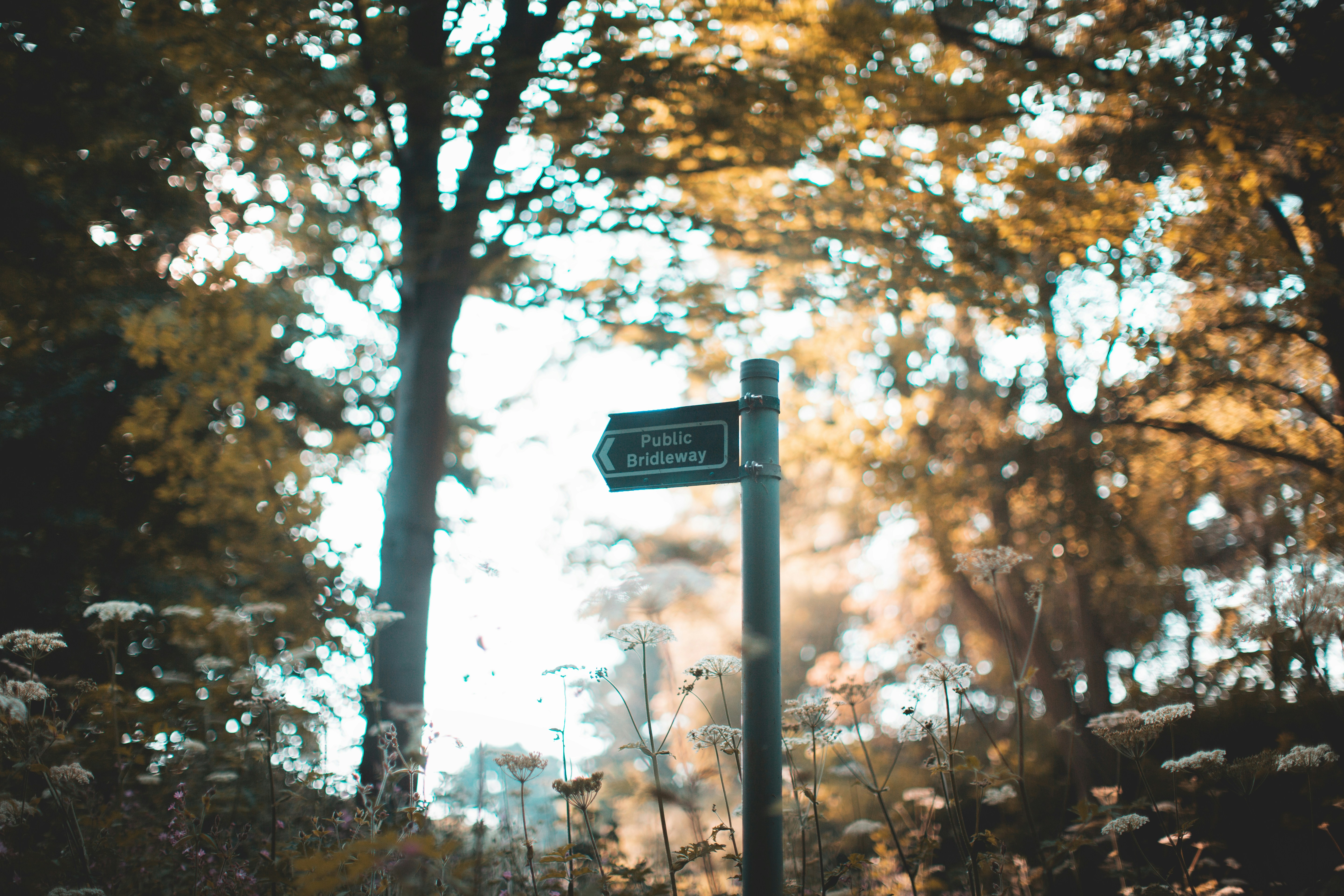 dom heartley m2o9sijg204 unsplash