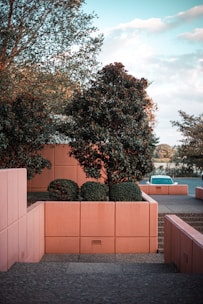 A landscaped outdoor area featuring large square pink planters with neatly trimmed bushes and a tree. The setting is bathed in natural light, revealing contrasting greenery against a calm sky. A car is partially visible behind the planters, parked near the edge of a calm road. The structured and clean lines of the planters create a harmonious and serene atmosphere.
