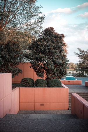 A landscaped outdoor area featuring large square pink planters with neatly trimmed bushes and a tree. The setting is bathed in natural light, revealing contrasting greenery against a calm sky. A car is partially visible behind the planters, parked near the edge of a calm road. The structured and clean lines of the planters create a harmonious and serene atmosphere.
