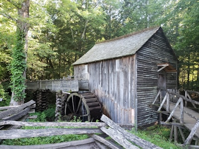 A rustic wooden mill with a large water wheel sits amidst a lush forest setting. The structure is weathered, with a sloping roof and wooden planks forming its walls. The surrounding area is dense with green foliage, and a wooden fence runs alongside the mill.