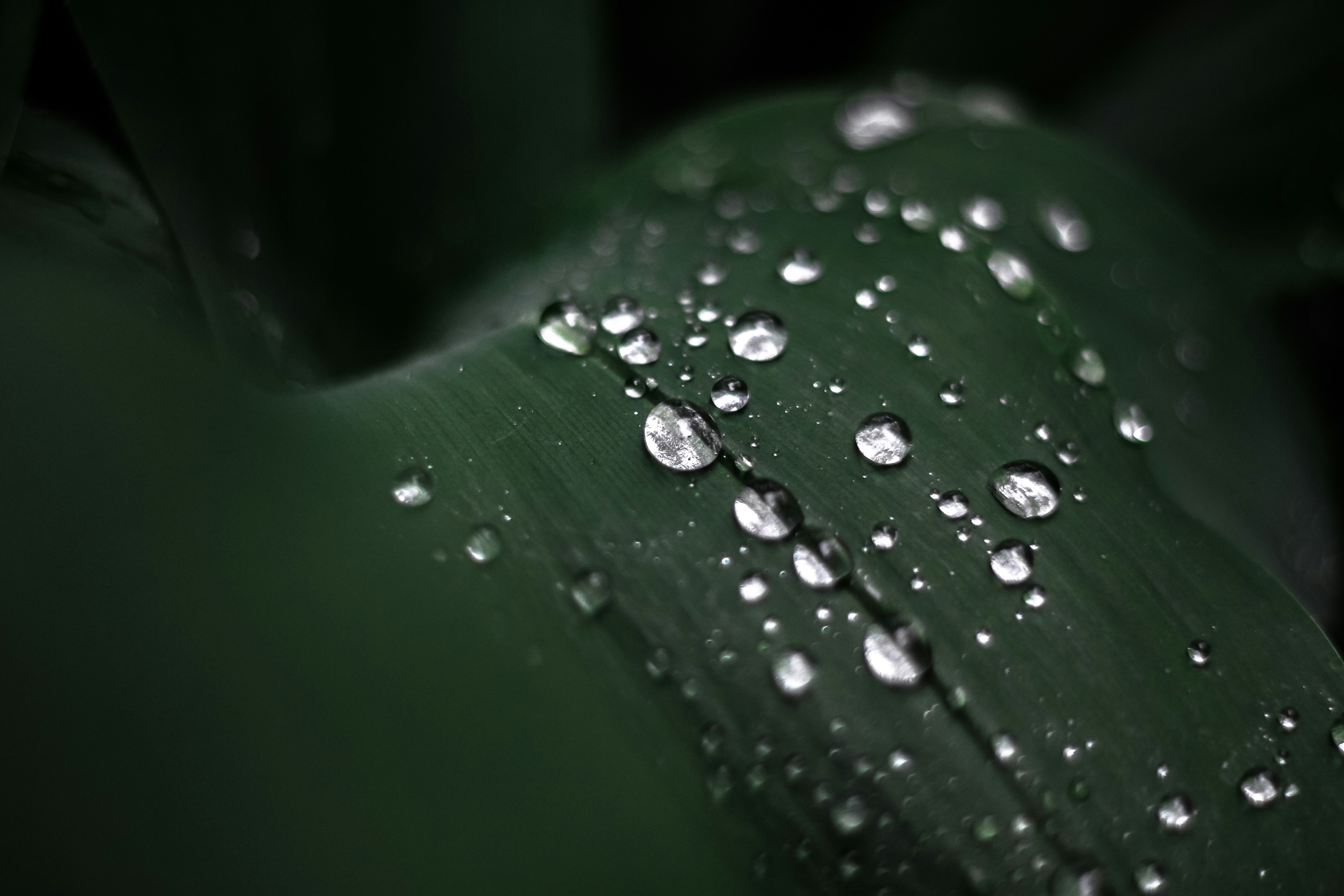 An image depicting sustainability practices