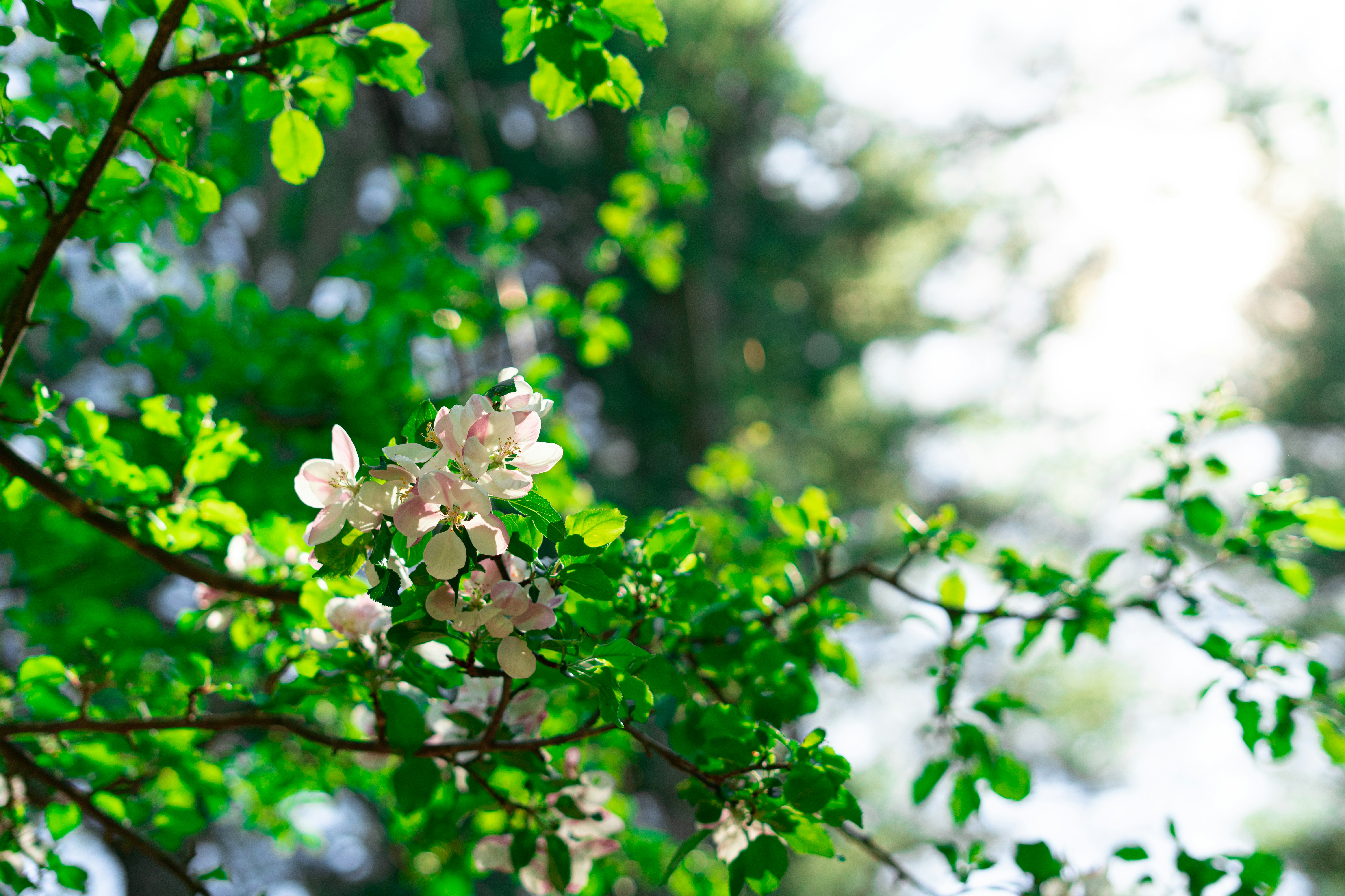 Photo by oliver_fetter