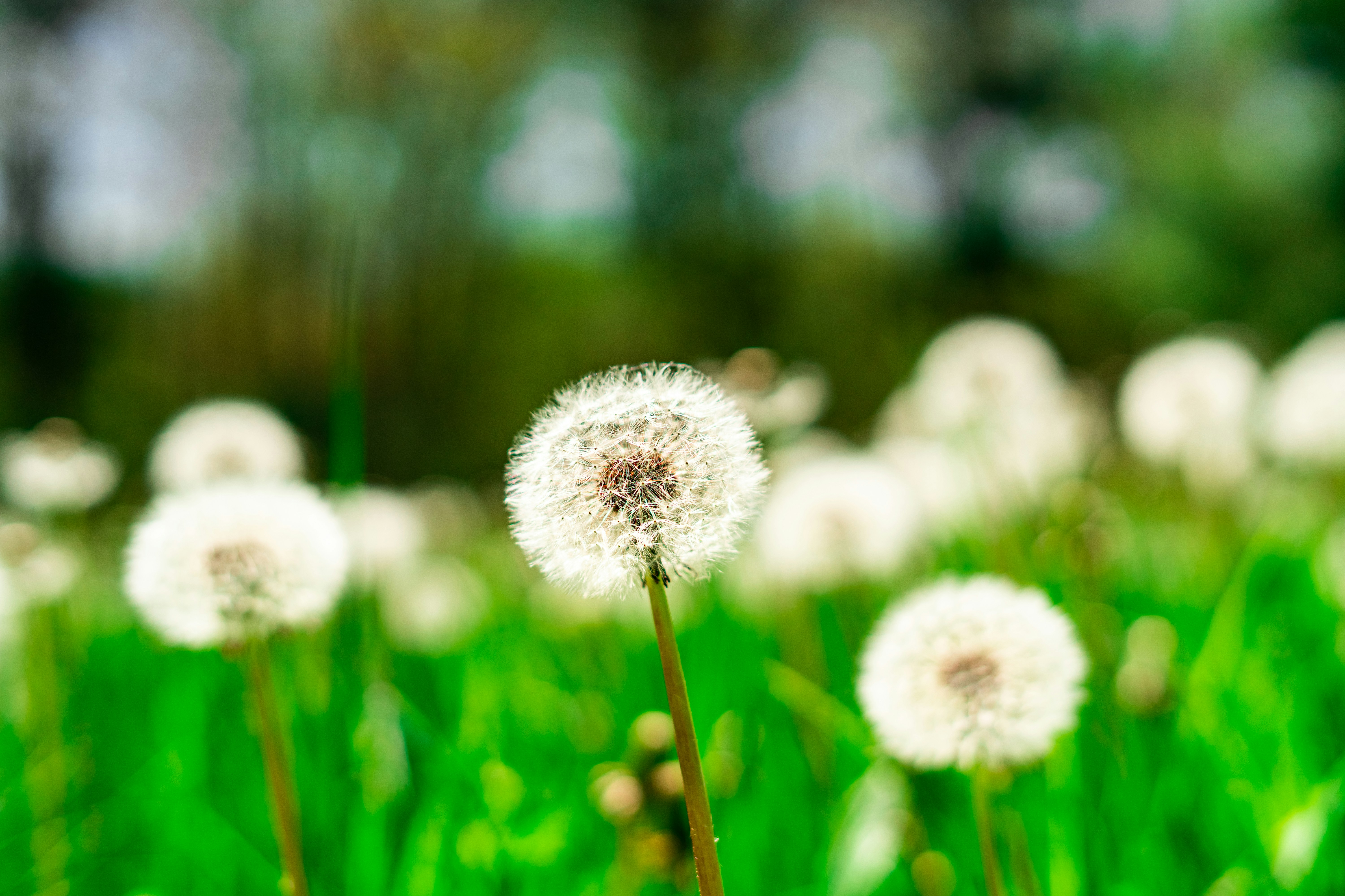 Photo by oliver_fetter