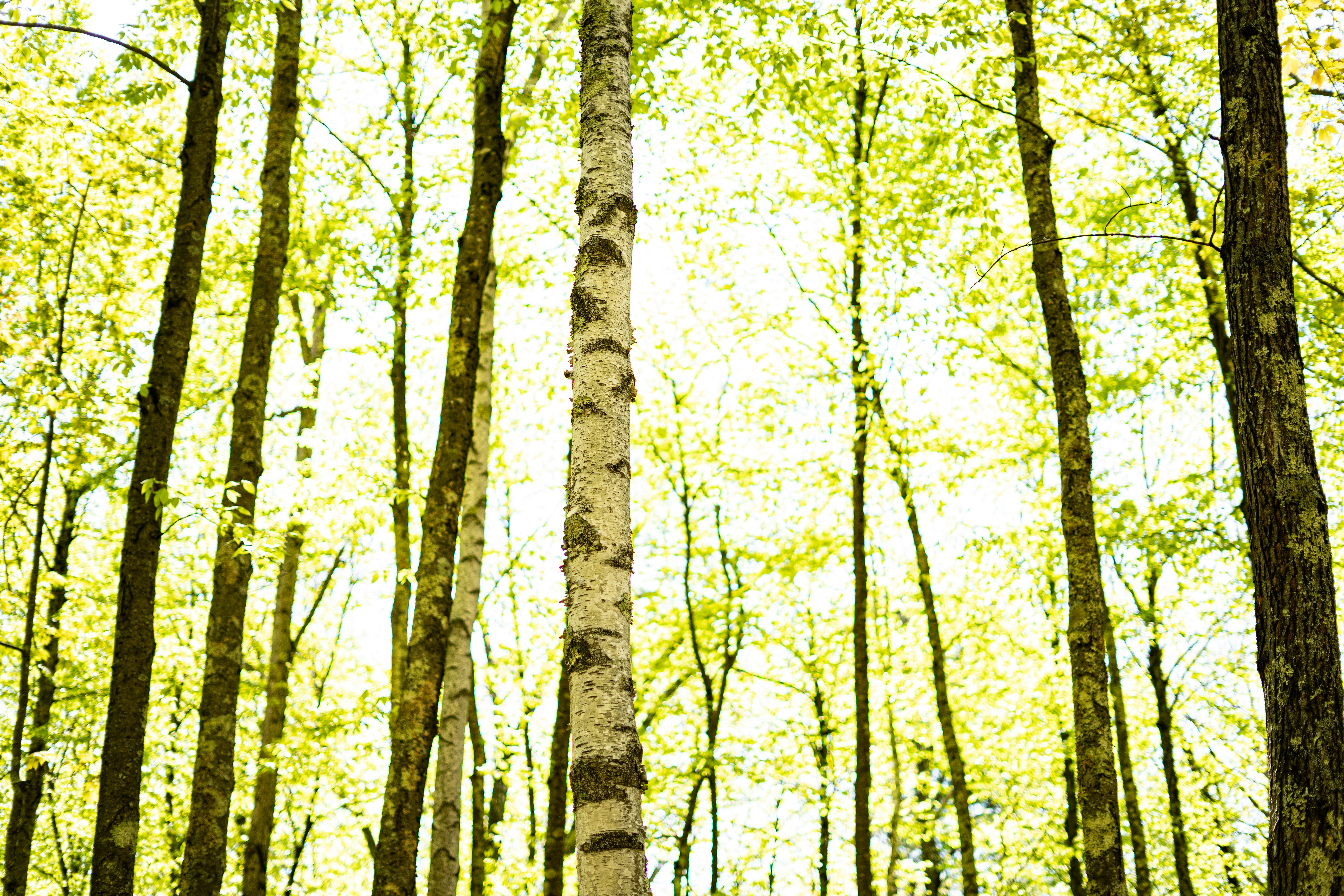 Photo by oliver_fetter