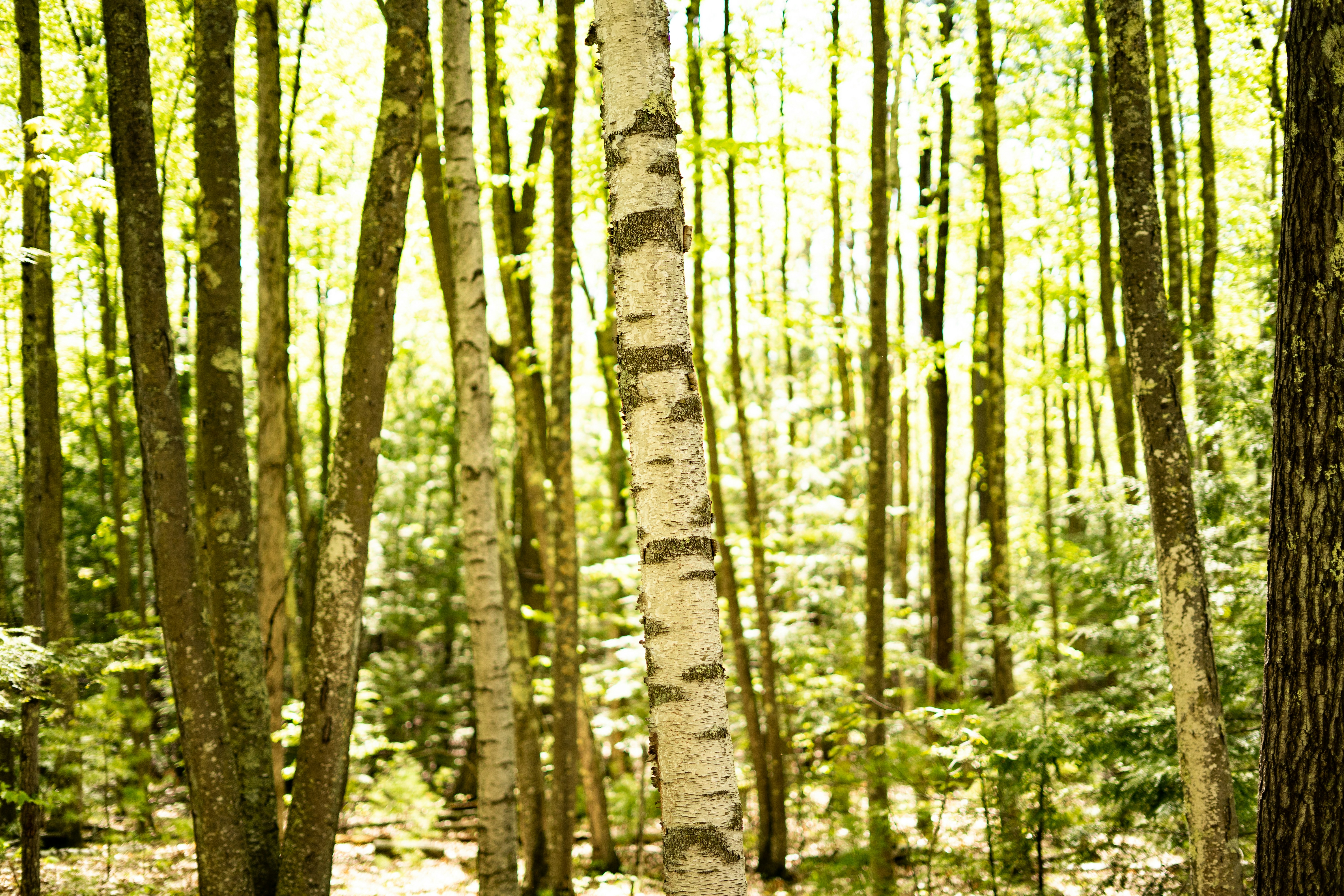 Photo by oliver_fetter