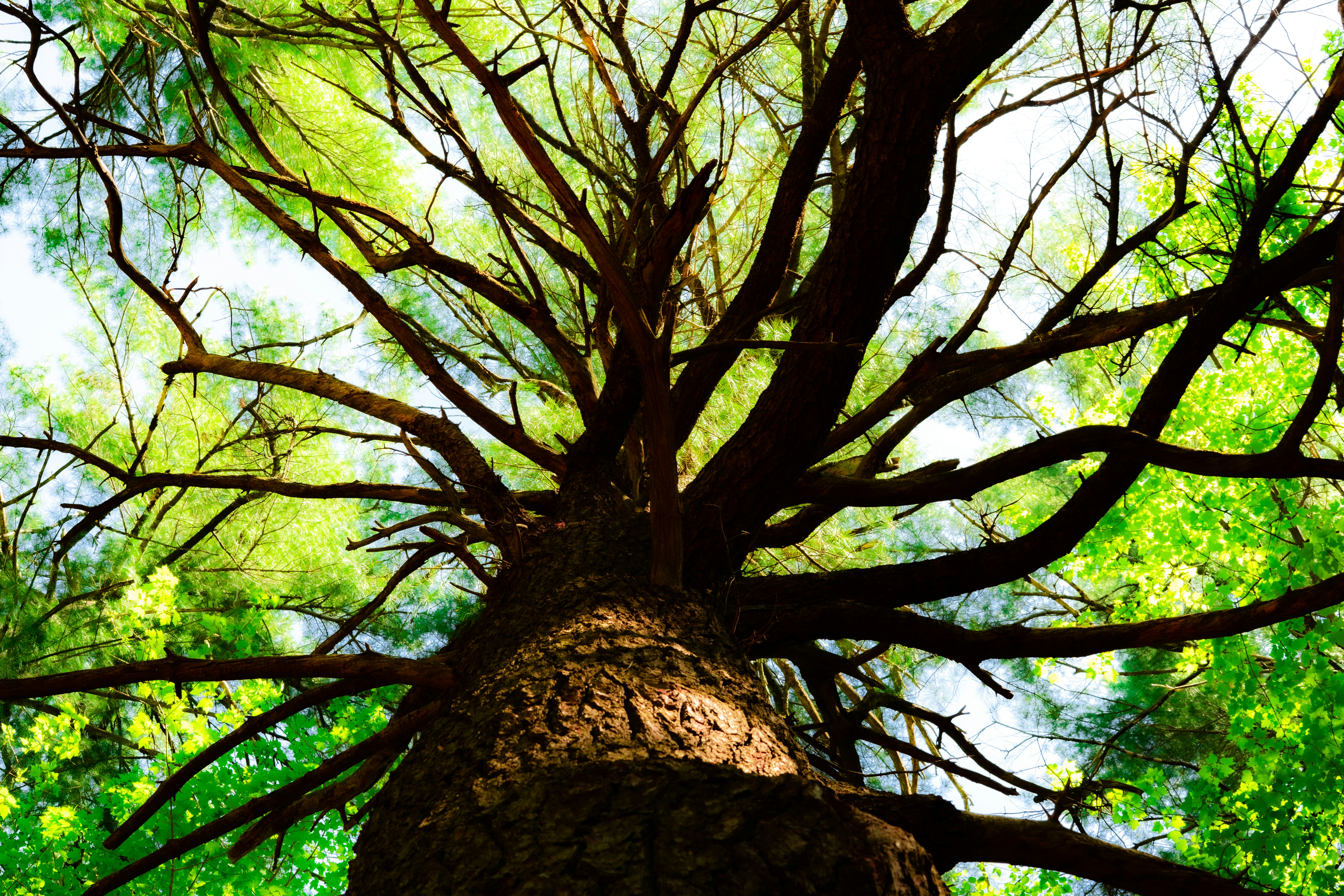 Photo by oliver_fetter