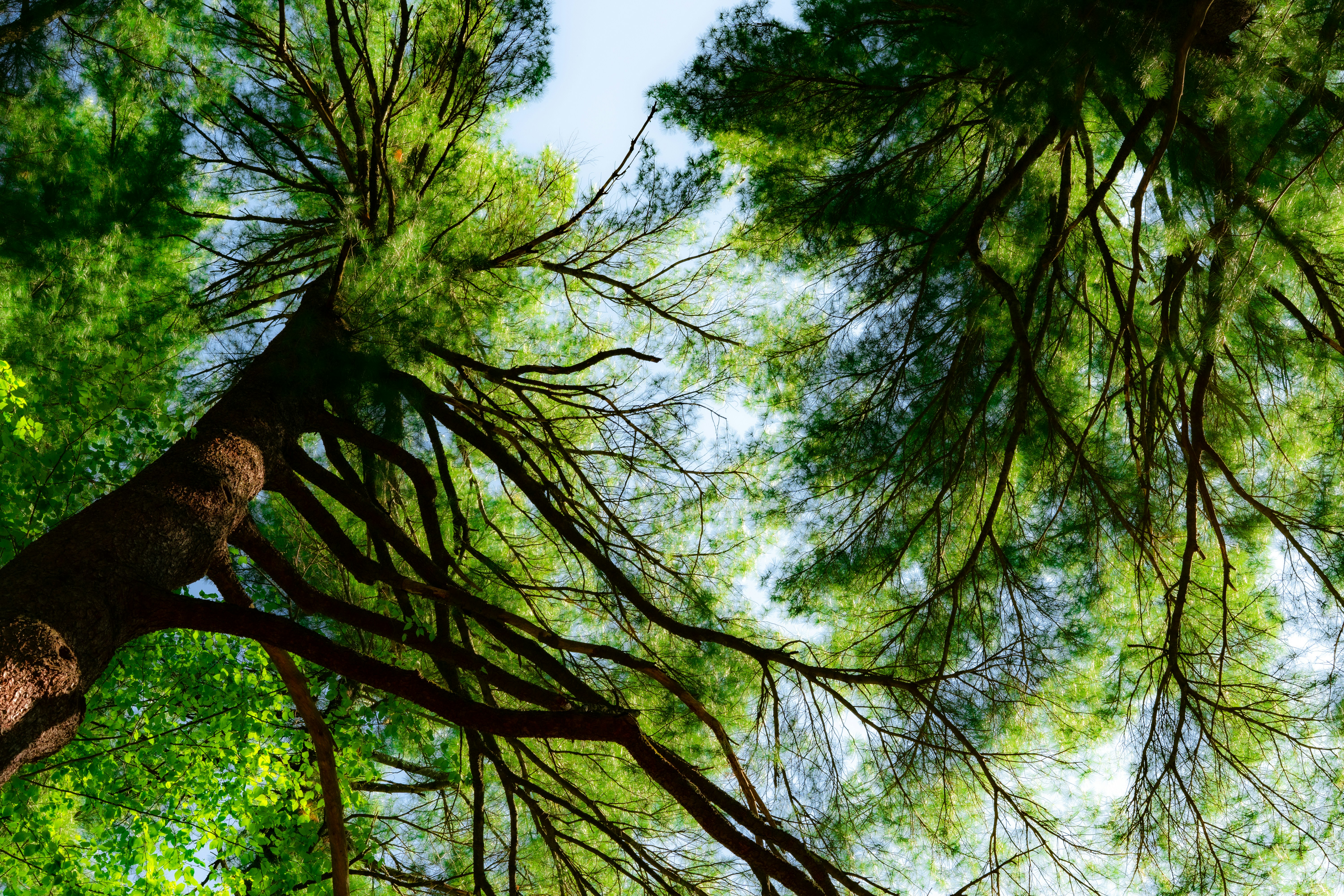 Photo by oliver_fetter