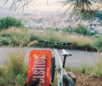 red and black bicycle near green grass field during daytime