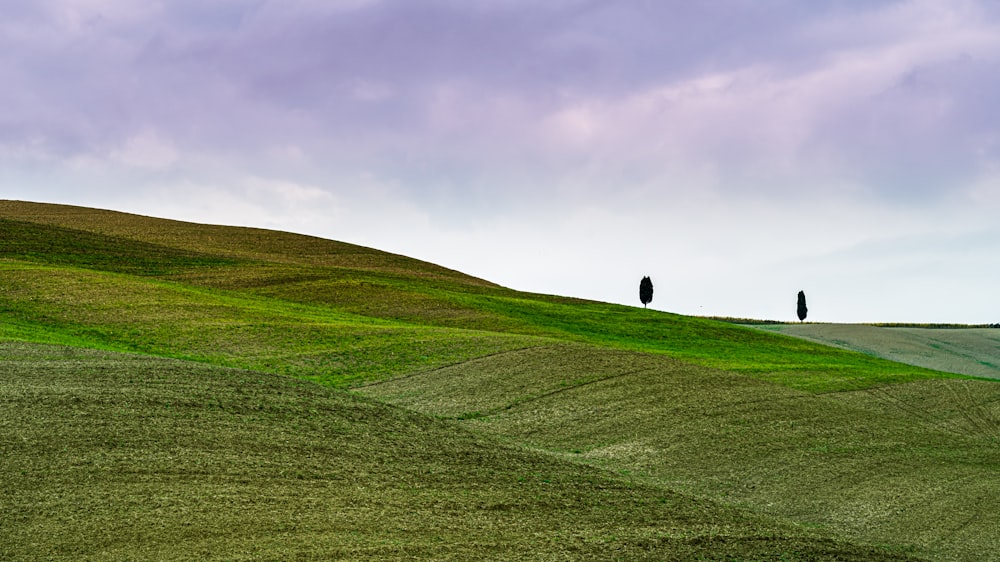 green grass field under cloudy sky during daytime