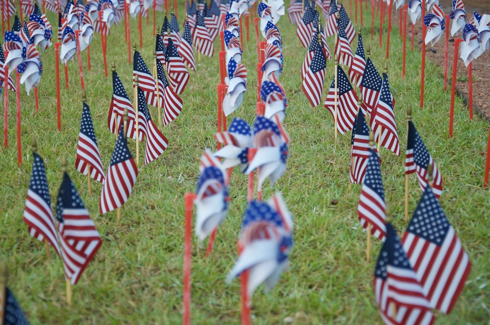 red white and blue flags on green grass field during daytime