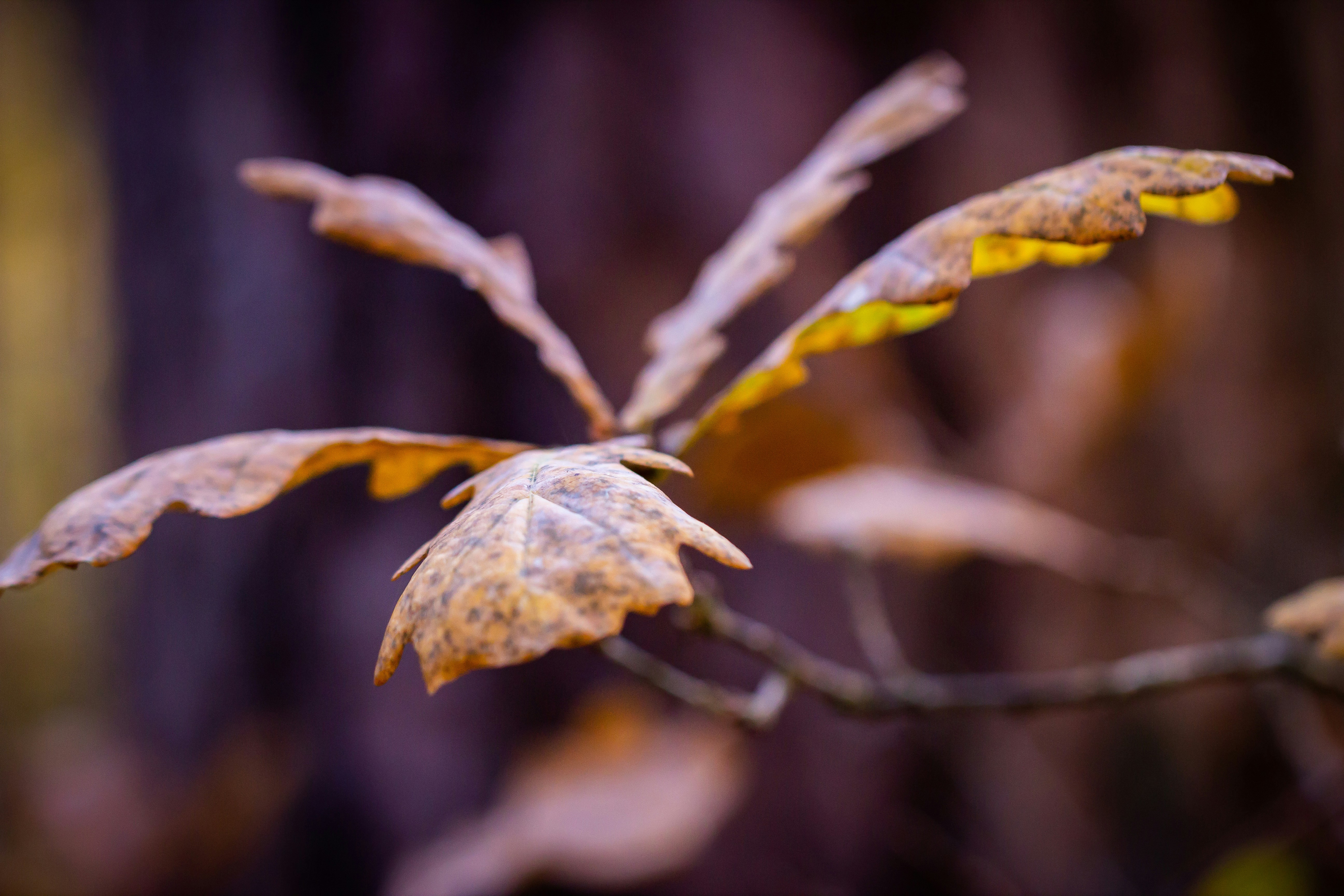 Photo by annikakarlsson