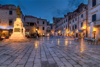 people walking on street near building during night time