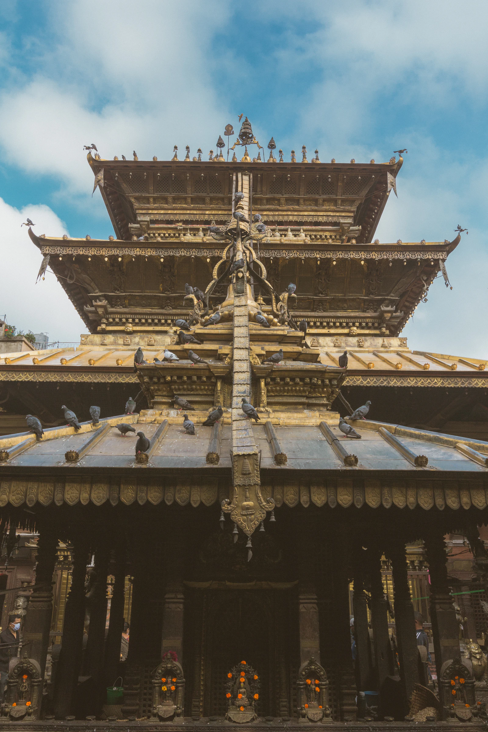 The gilded roofs and carved struts of the Golden Temple at Kwa Baha in Patan, pigeons resting along the eaves