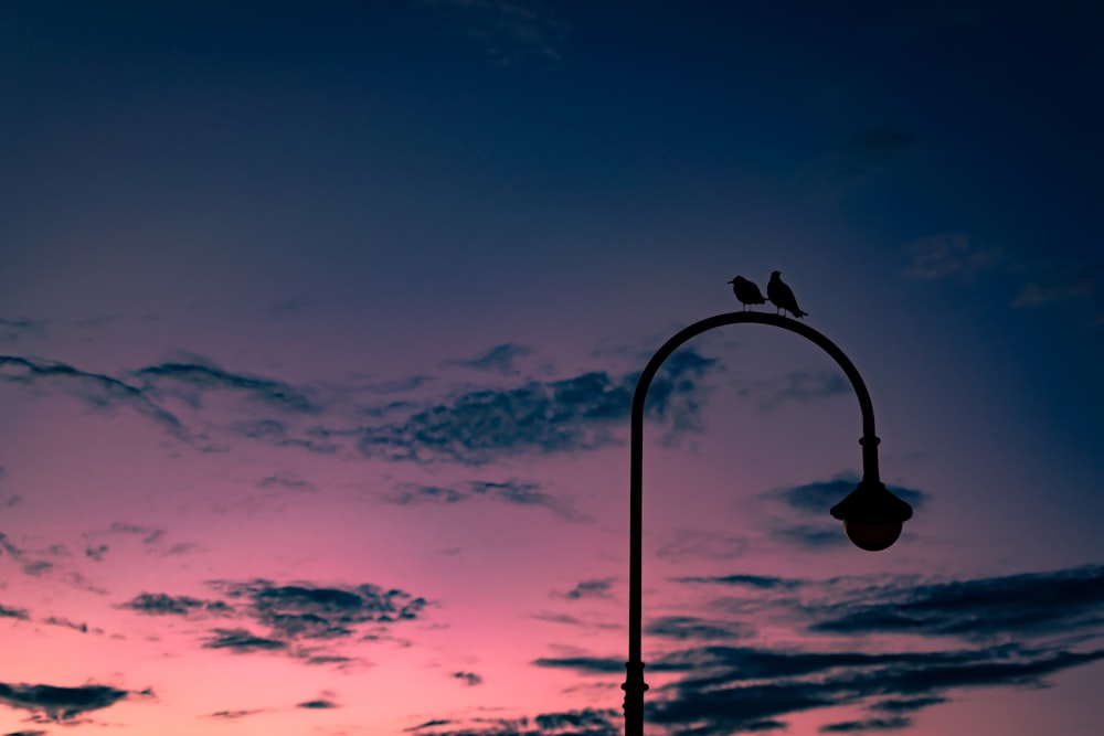 black street light under blue sky during daytime