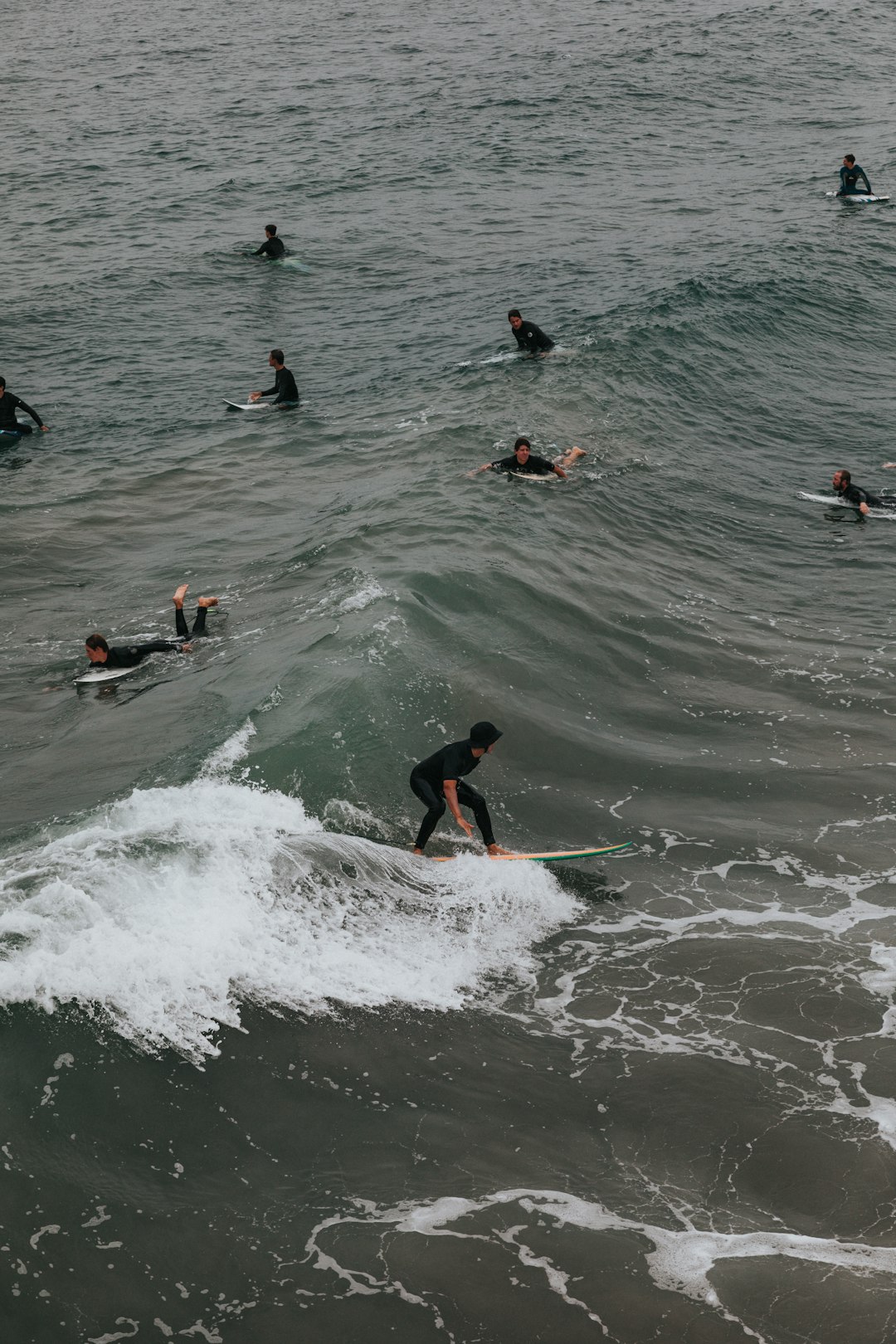 people in water during daytime