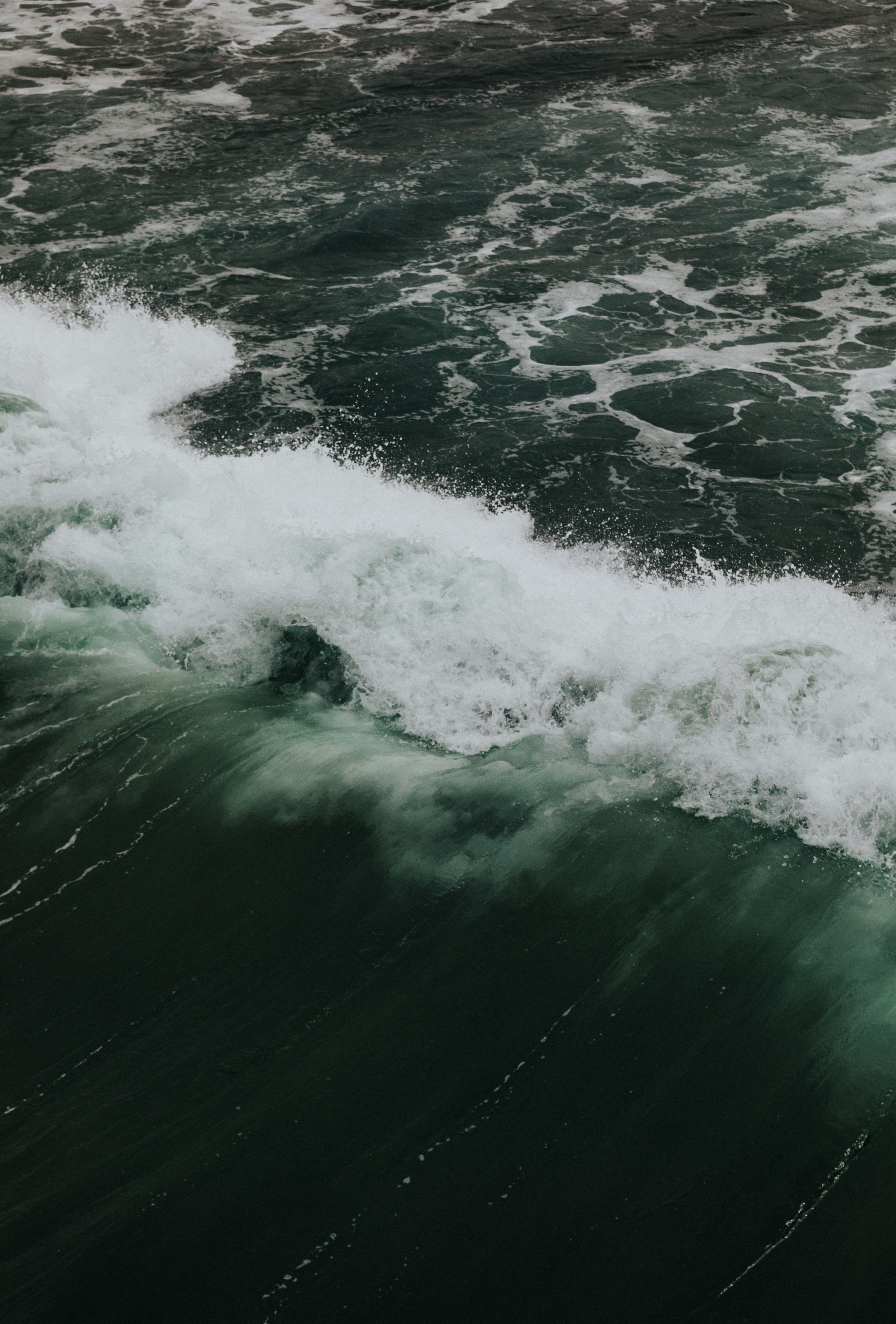 Photo by nate_dumlao