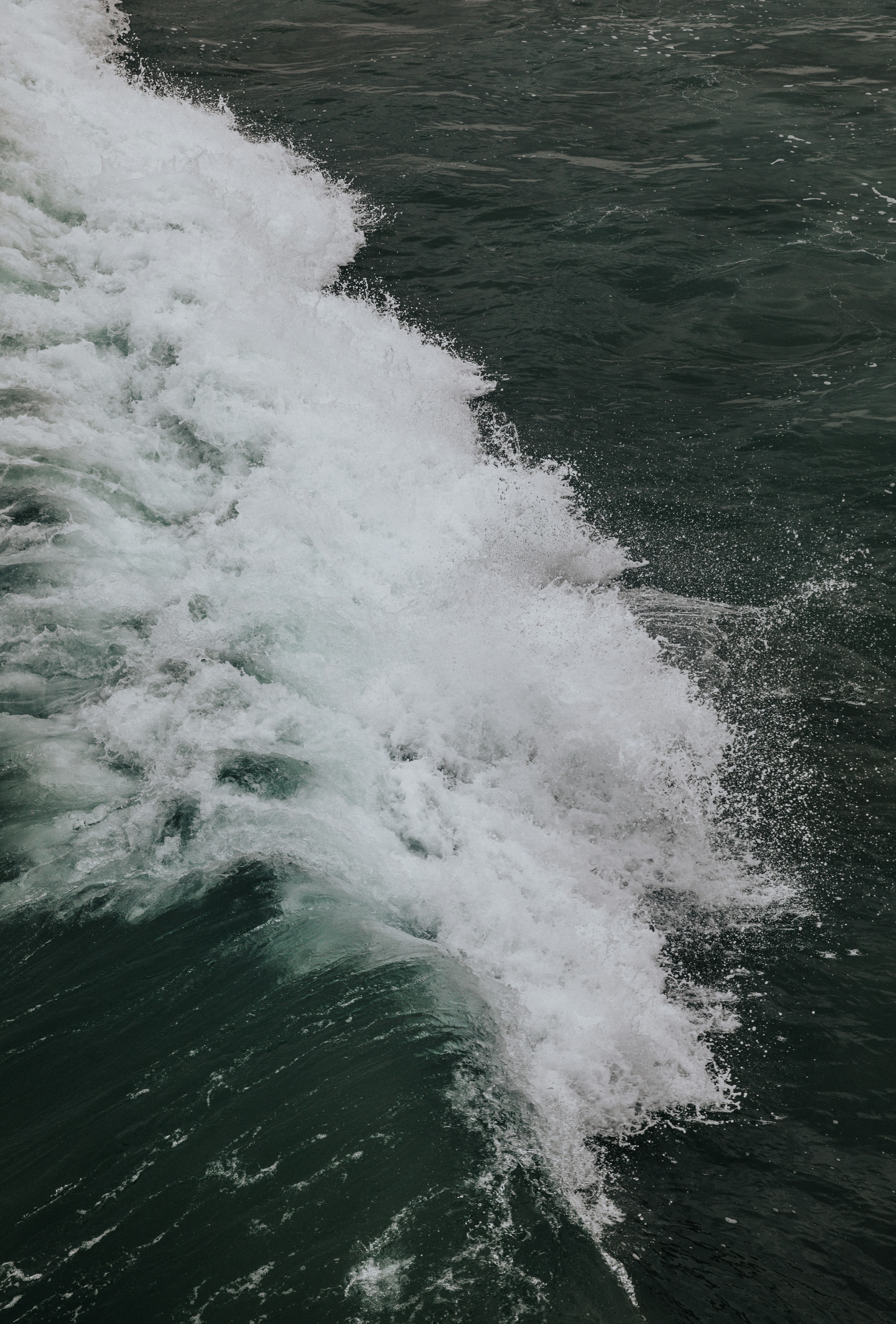 Photo by nate_dumlao