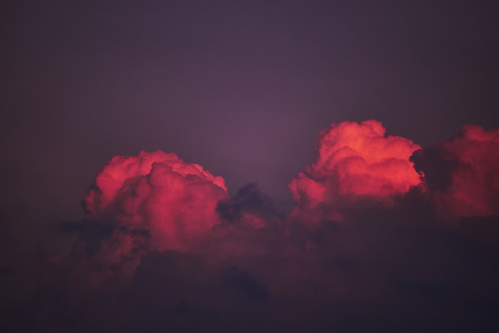 pink clouds in the sky