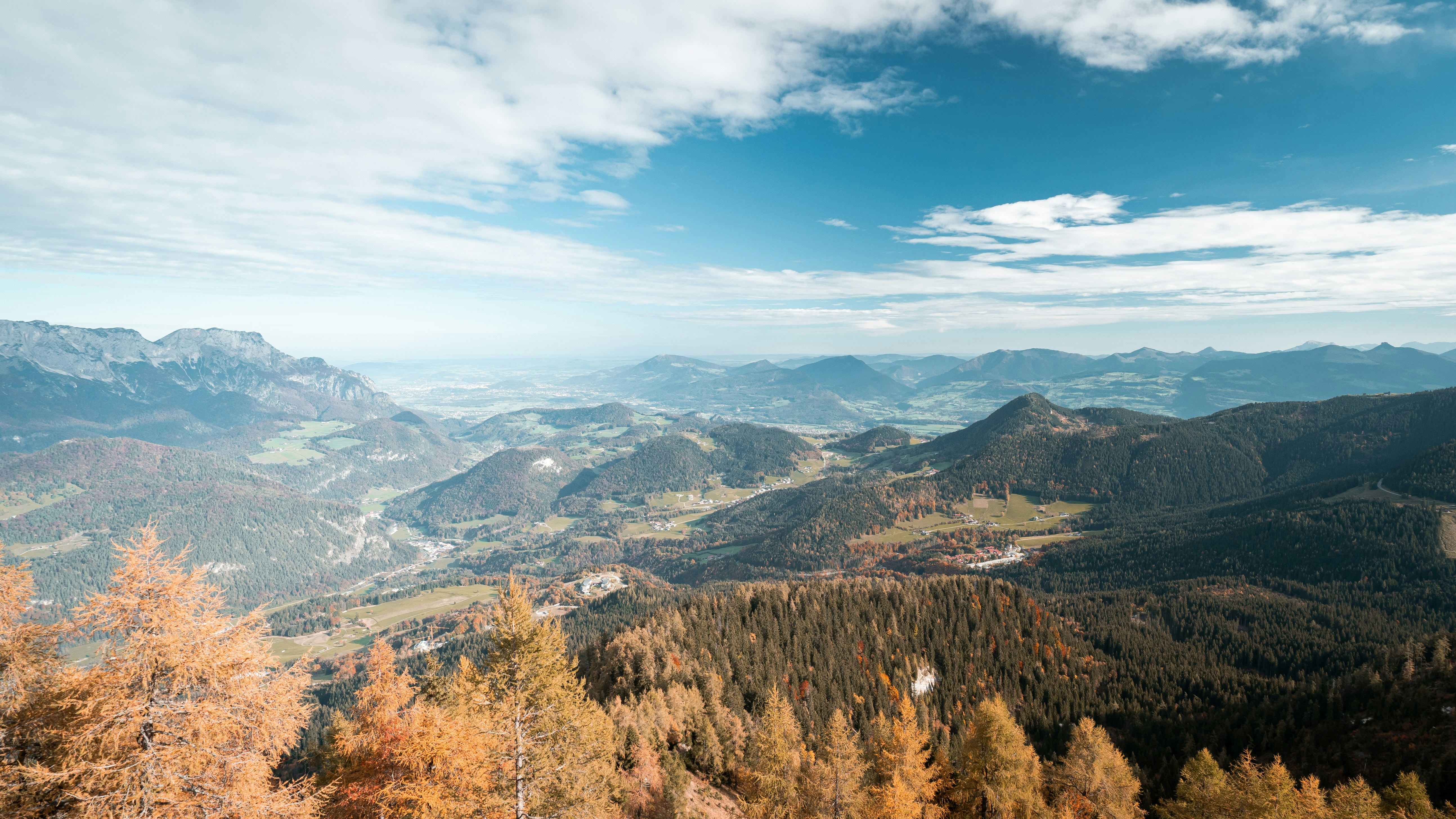 Grüne und braune Bäume am Berg tagsüber unter blauem Himmel