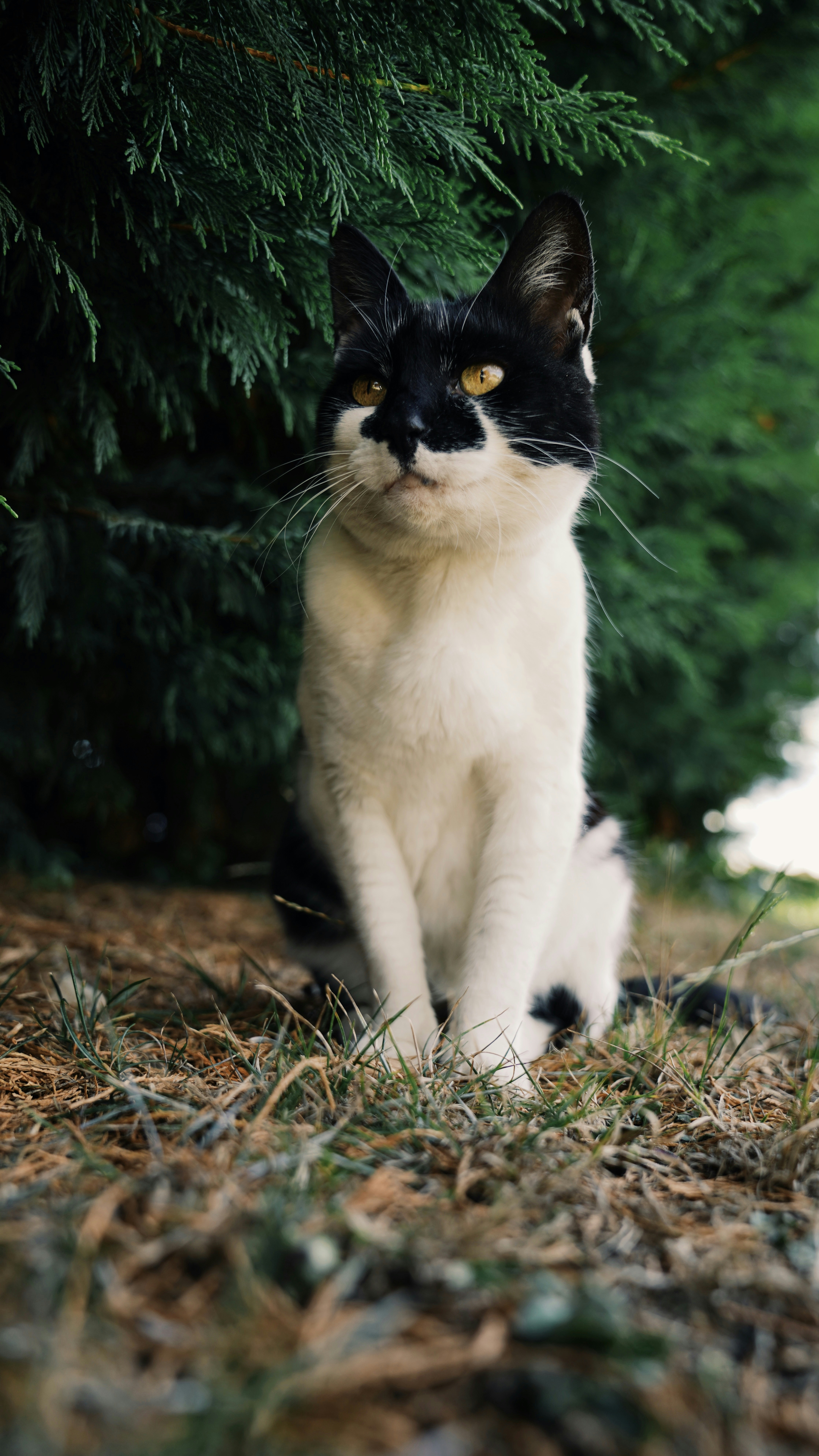 Photo by robbie_weekes