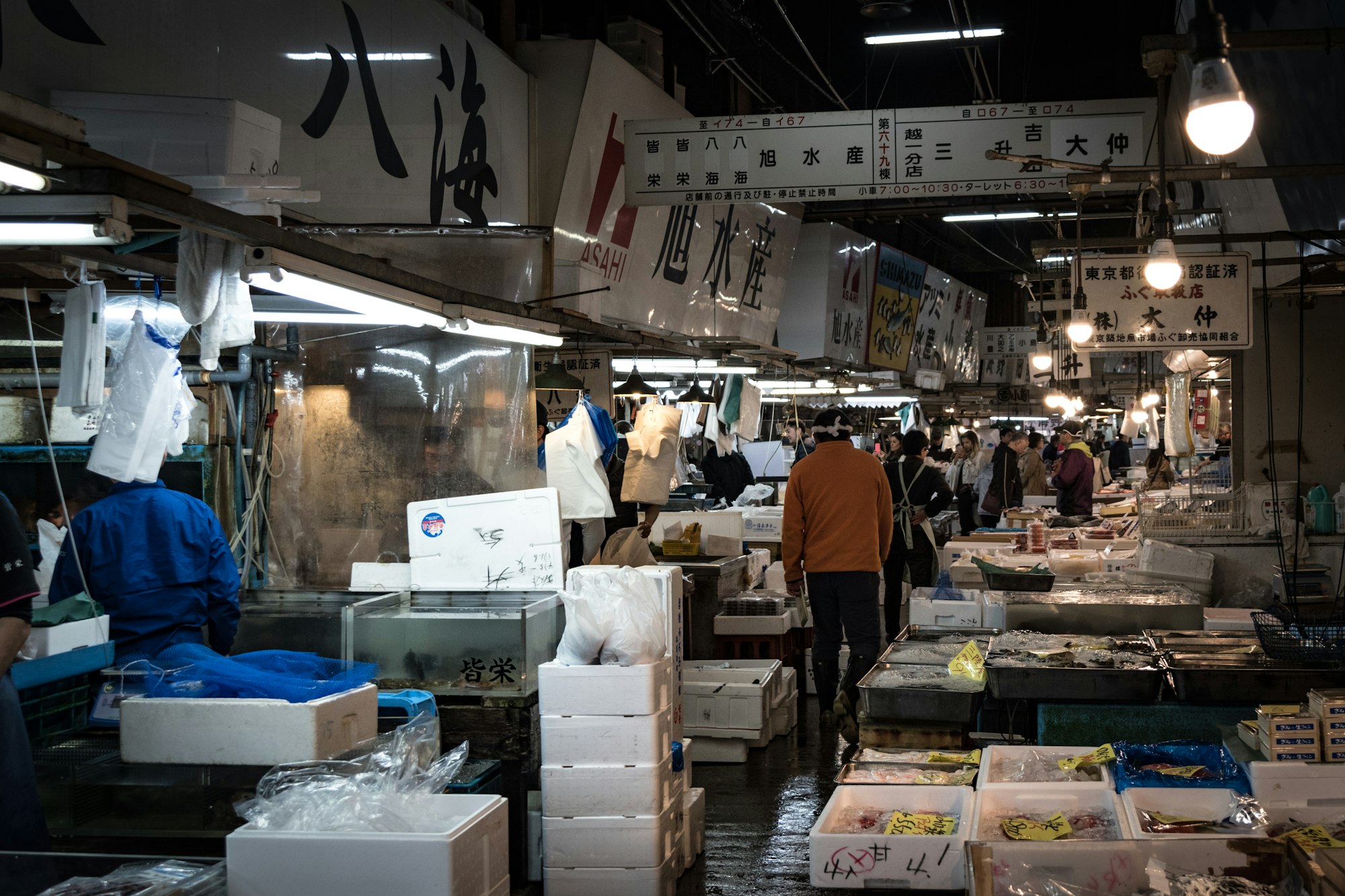 rip, tsukiji
