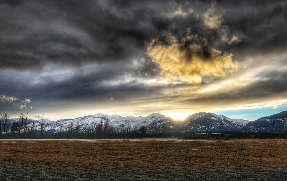 green grass field with trees and mountains in distance under gray clouds