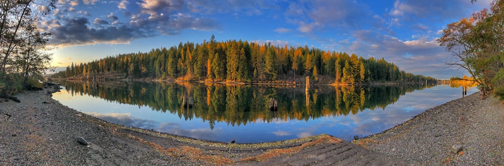 green trees beside body of water under blue sky during daytime