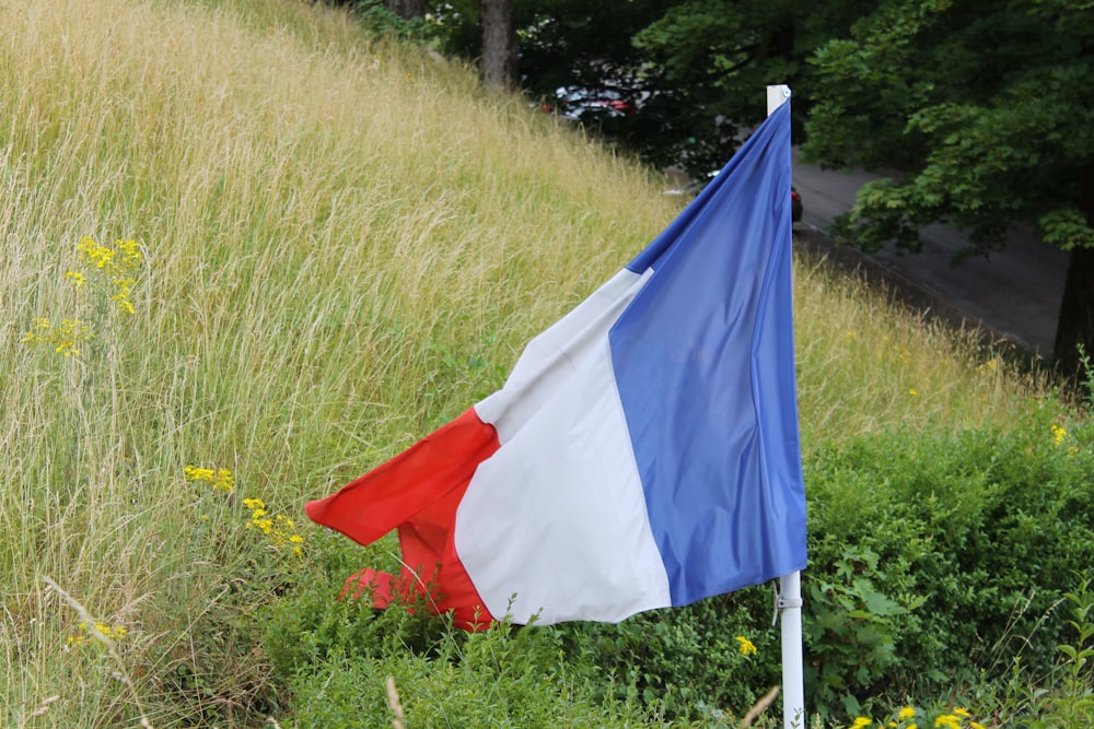 blue white and red flag on green grass field