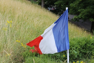 blue white and red flag on green grass field