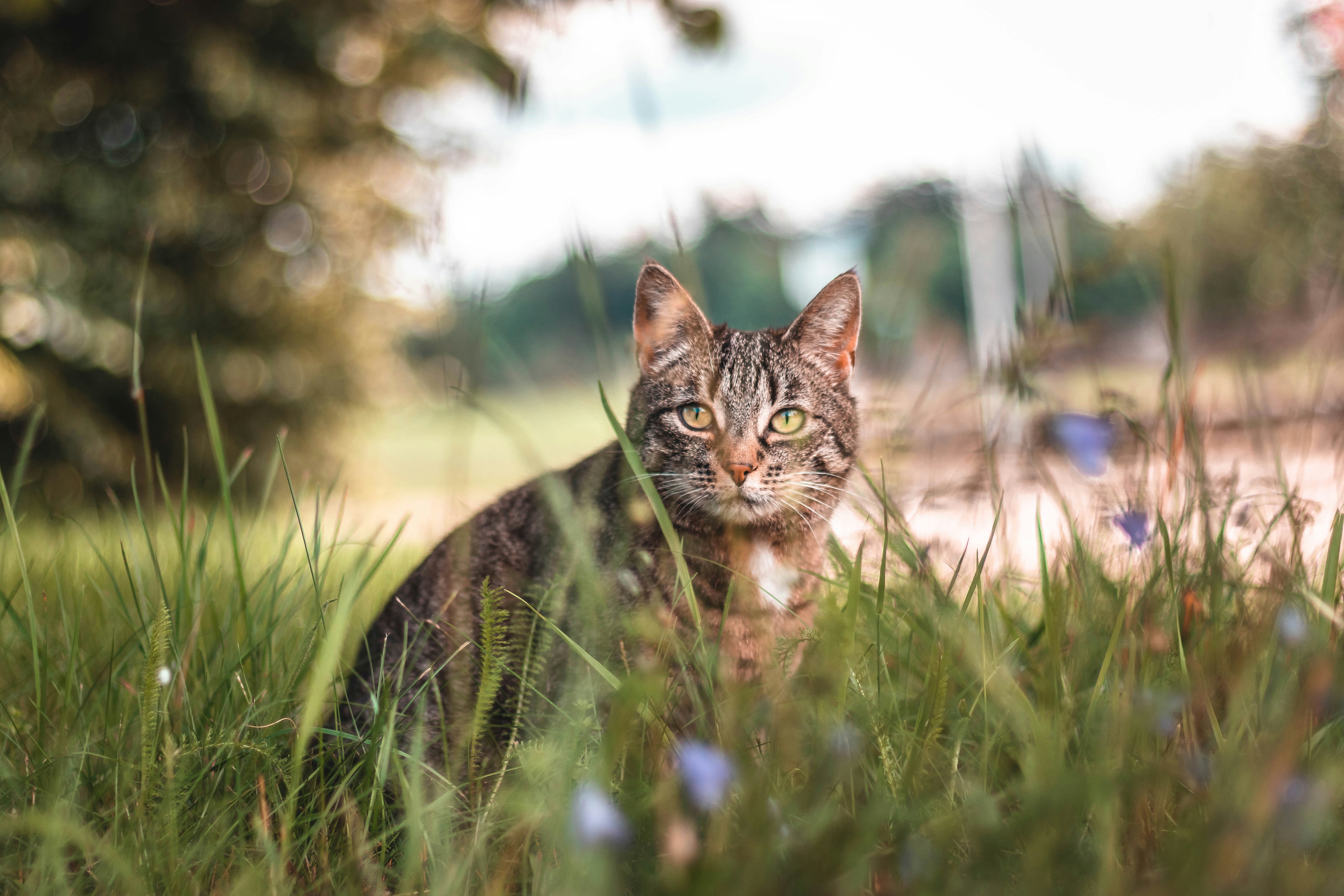 Photo by stereophototyp