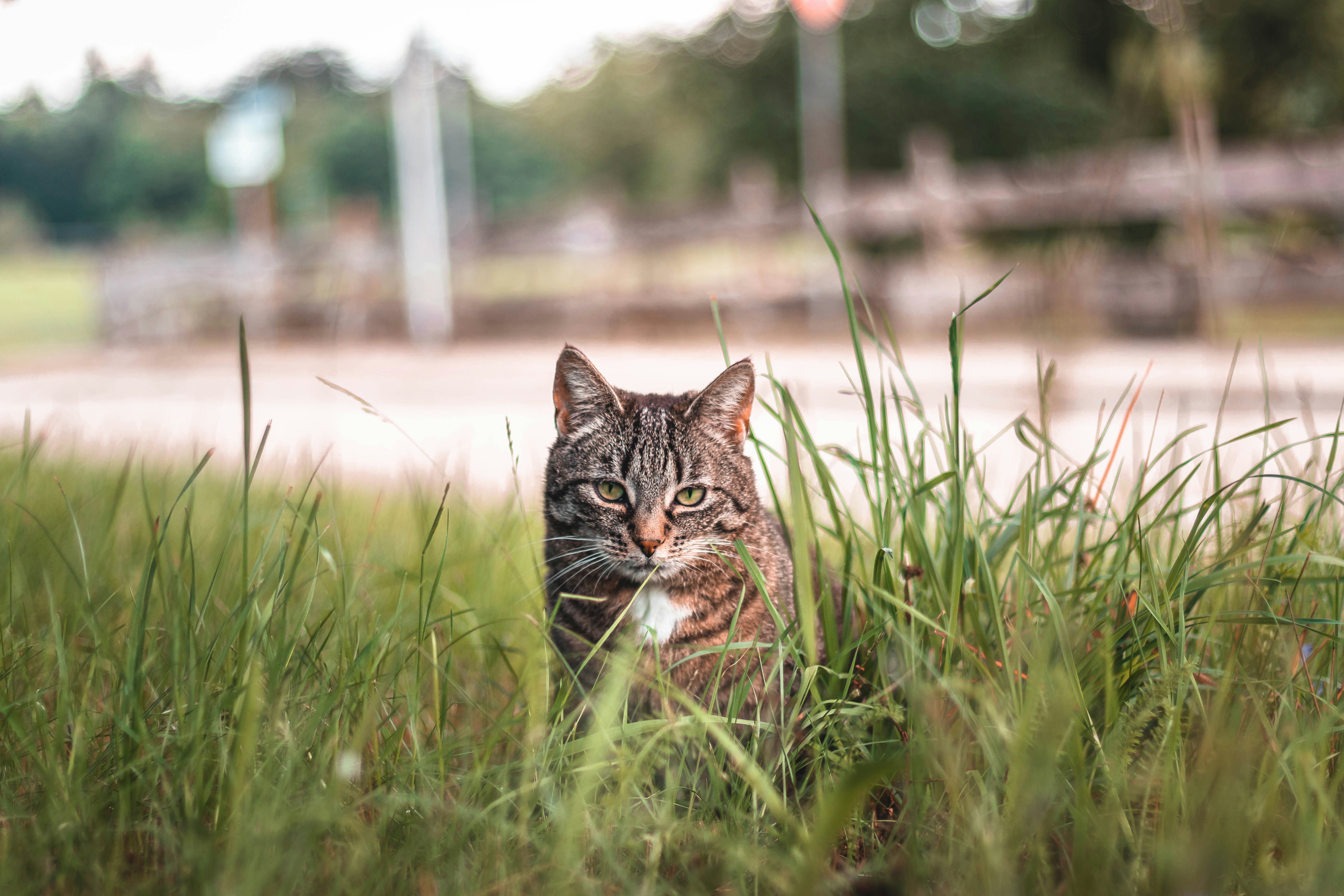 Photo by stereophototyp
