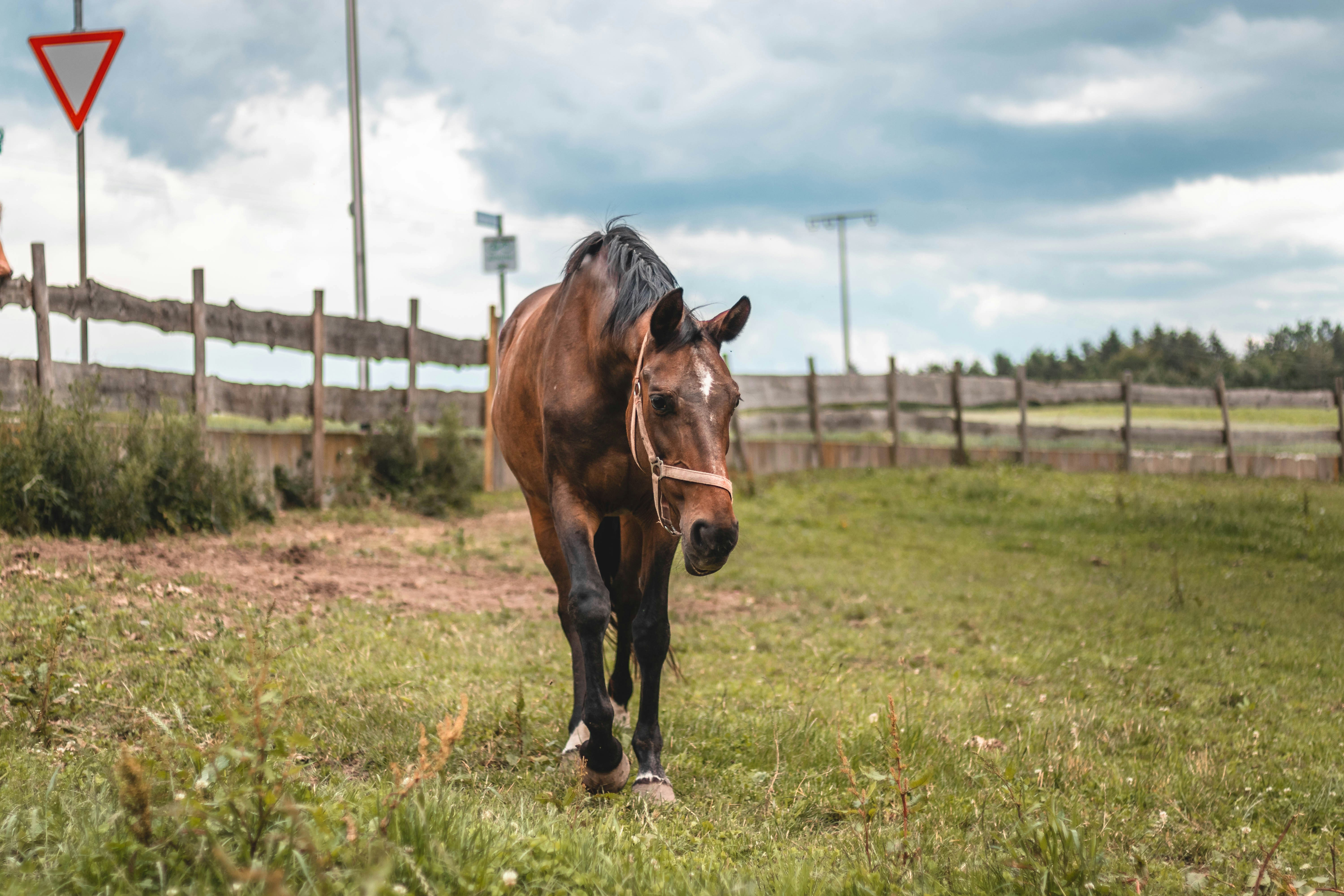 Photo by stereophototyp