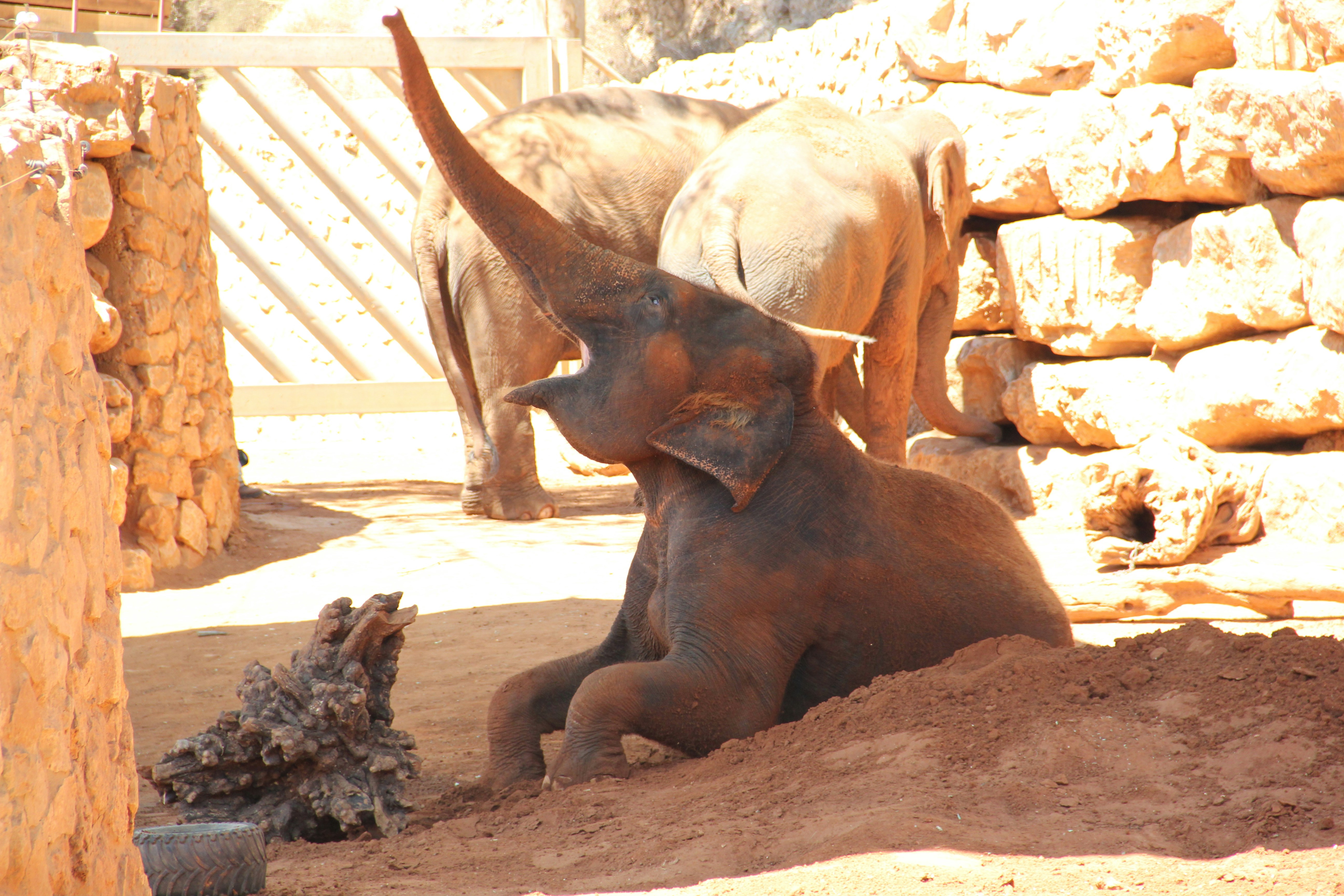 Photo by shalevcohen