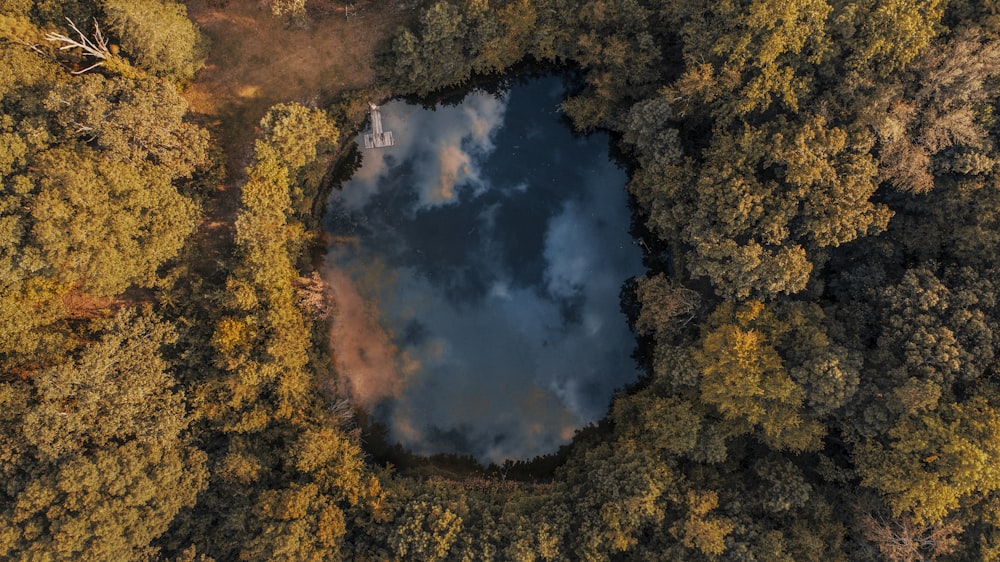 Des arbres verts sous un ciel bleu et des nuages blancs pendant la journée