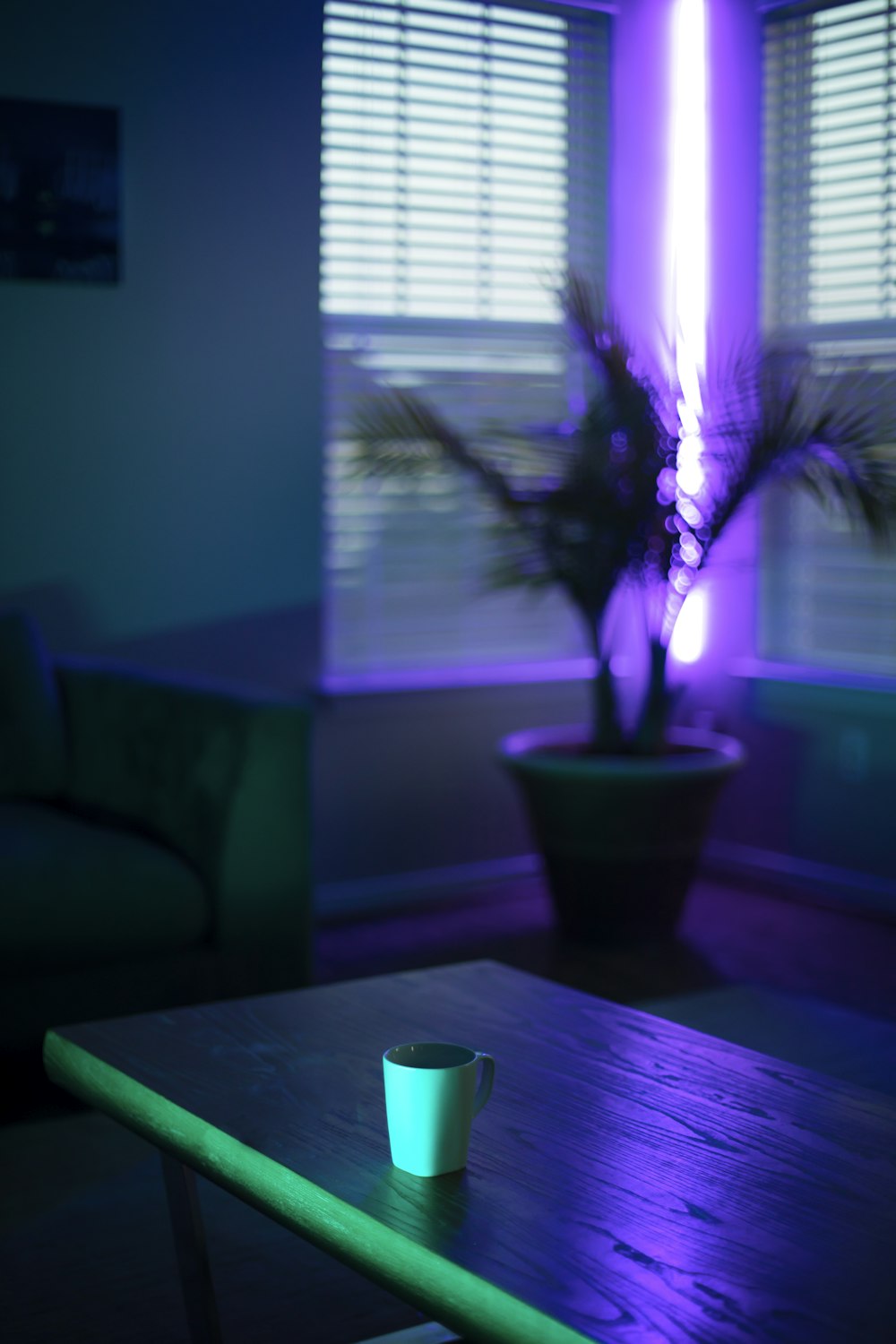 green plant on brown wooden table