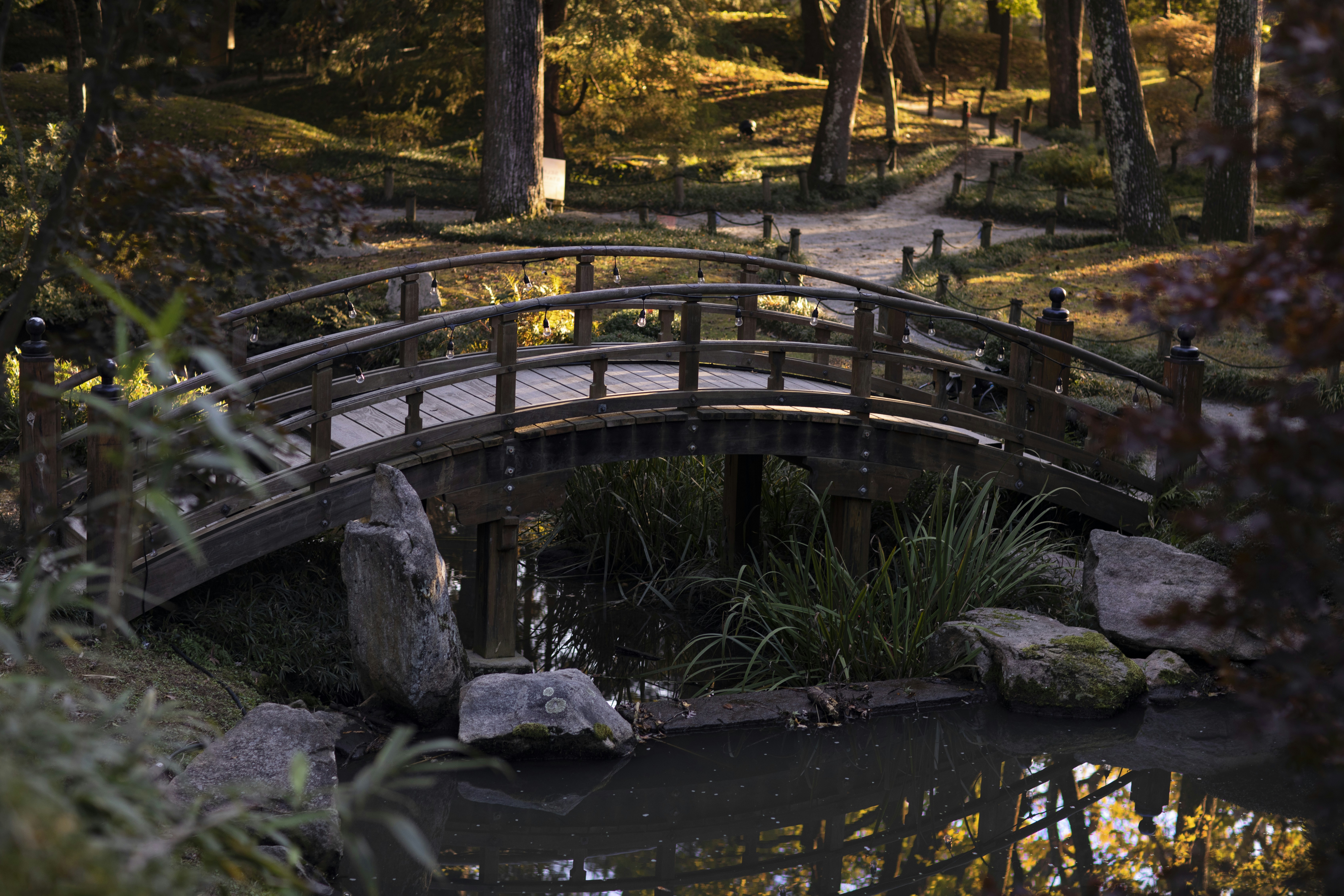 Photo by jawfox_photography