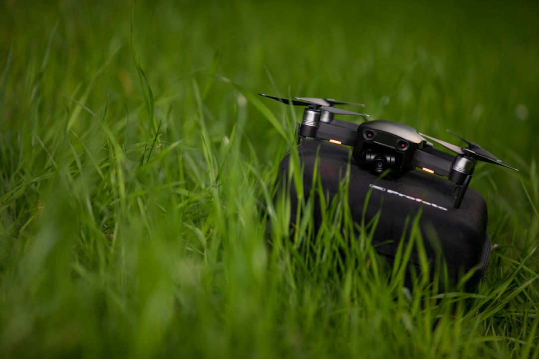 black dslr camera on green grass