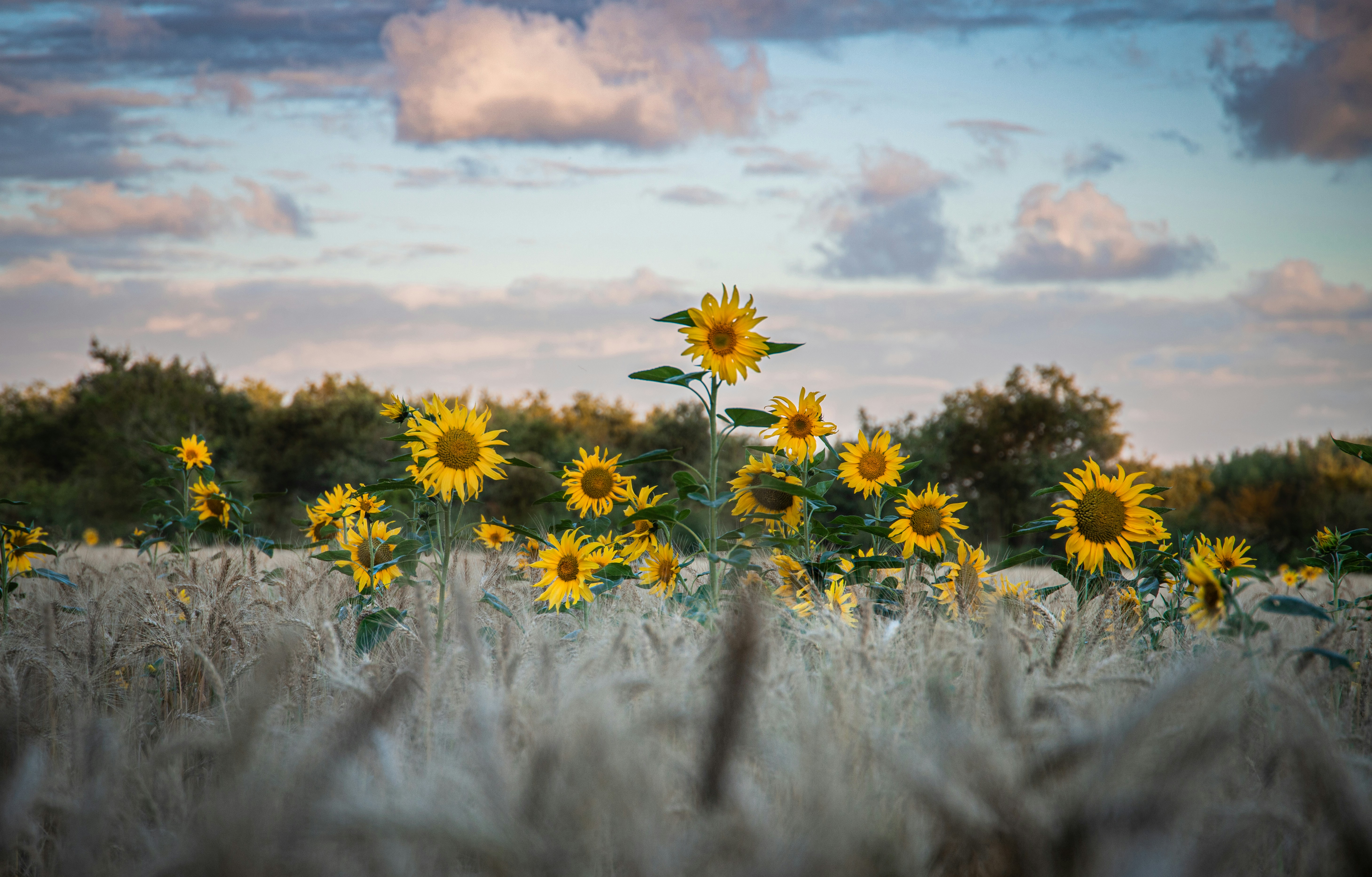 Photo by arizonanthony