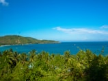 green plants near blue sea under blue sky during daytime