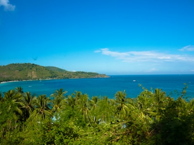 green plants near blue sea under blue sky during daytime