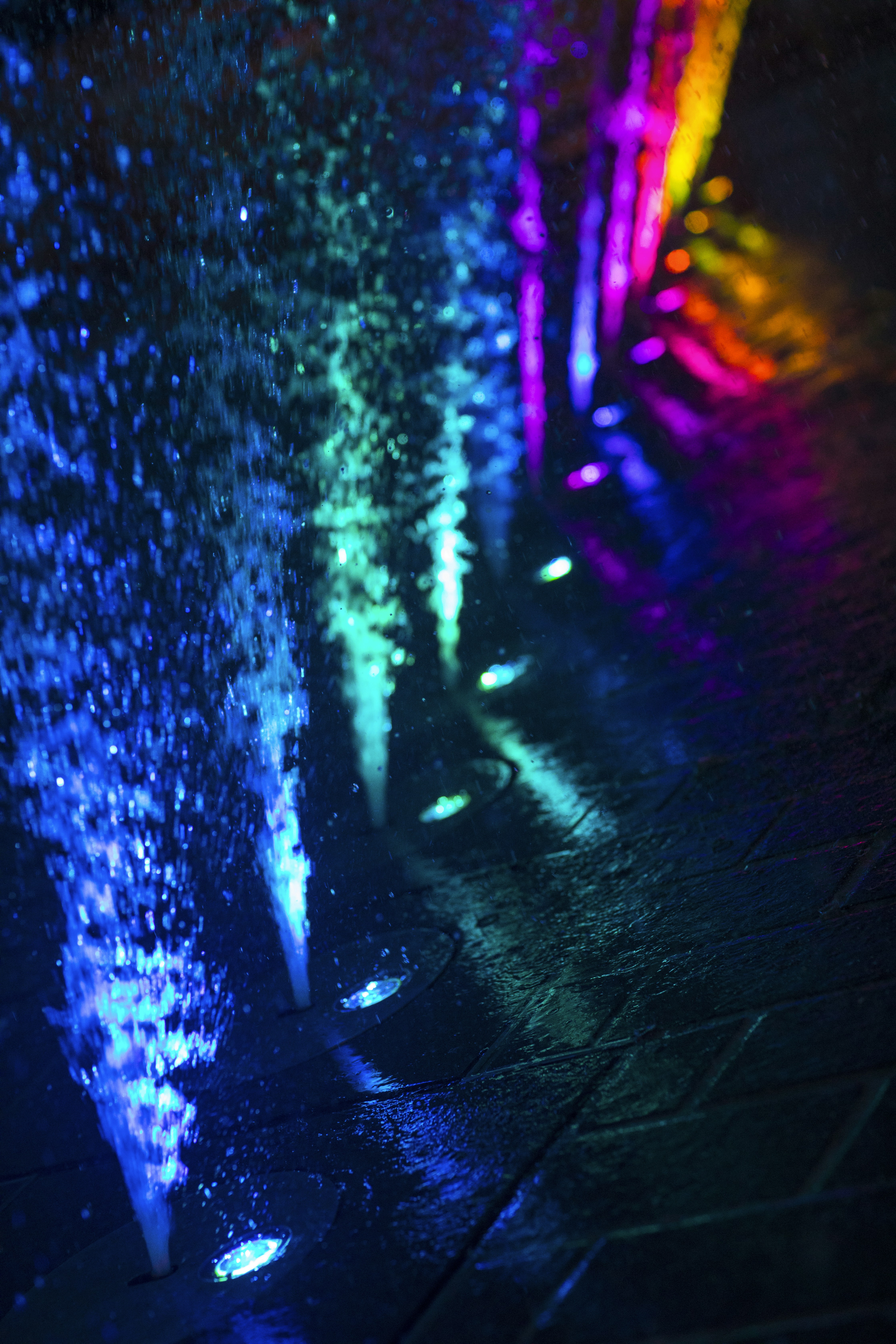 Photo by jawfox_photography