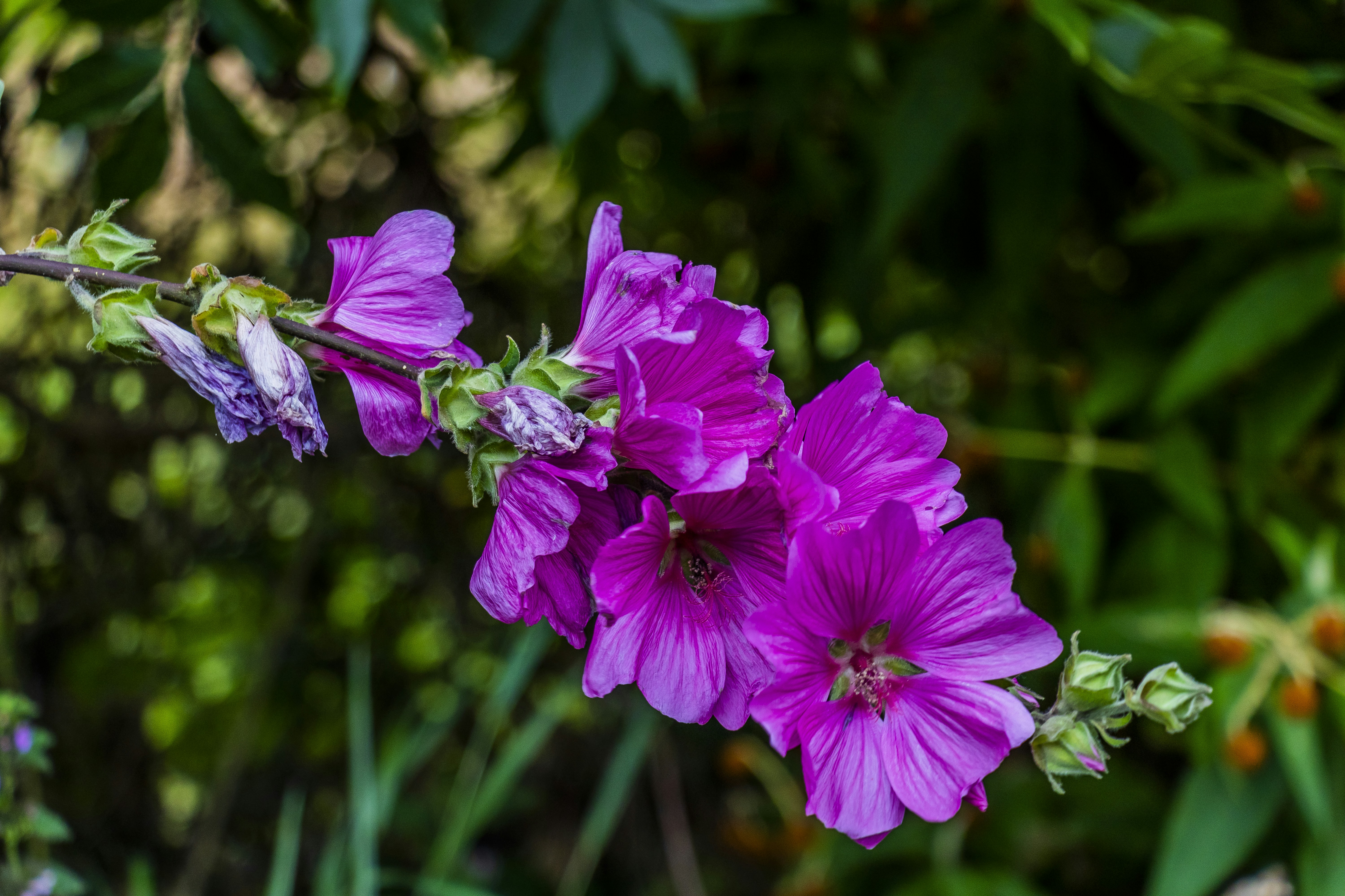 Photo by gricey_visuals