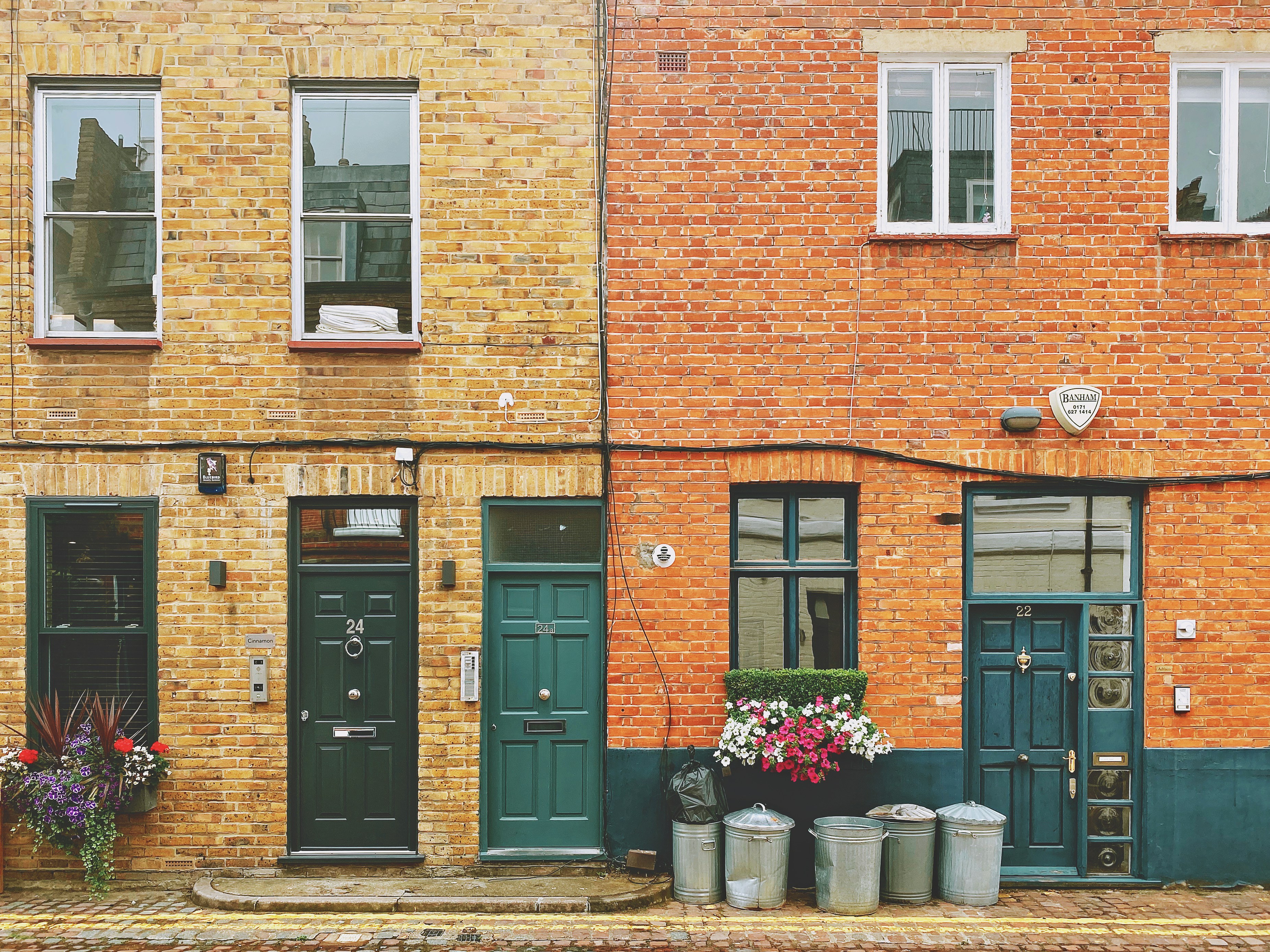 Photo by camelliayang