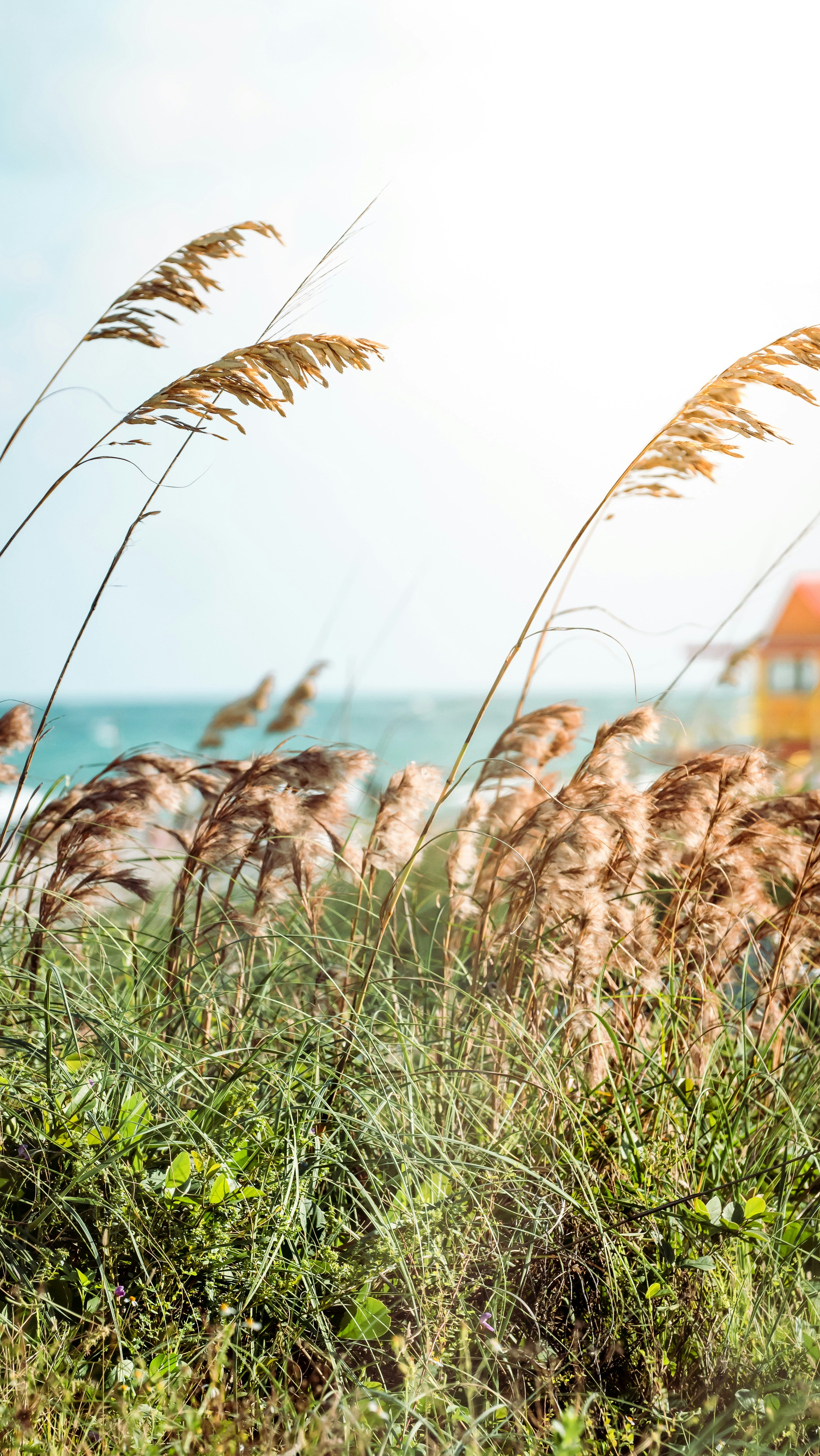 Photo by emanuelekstrom