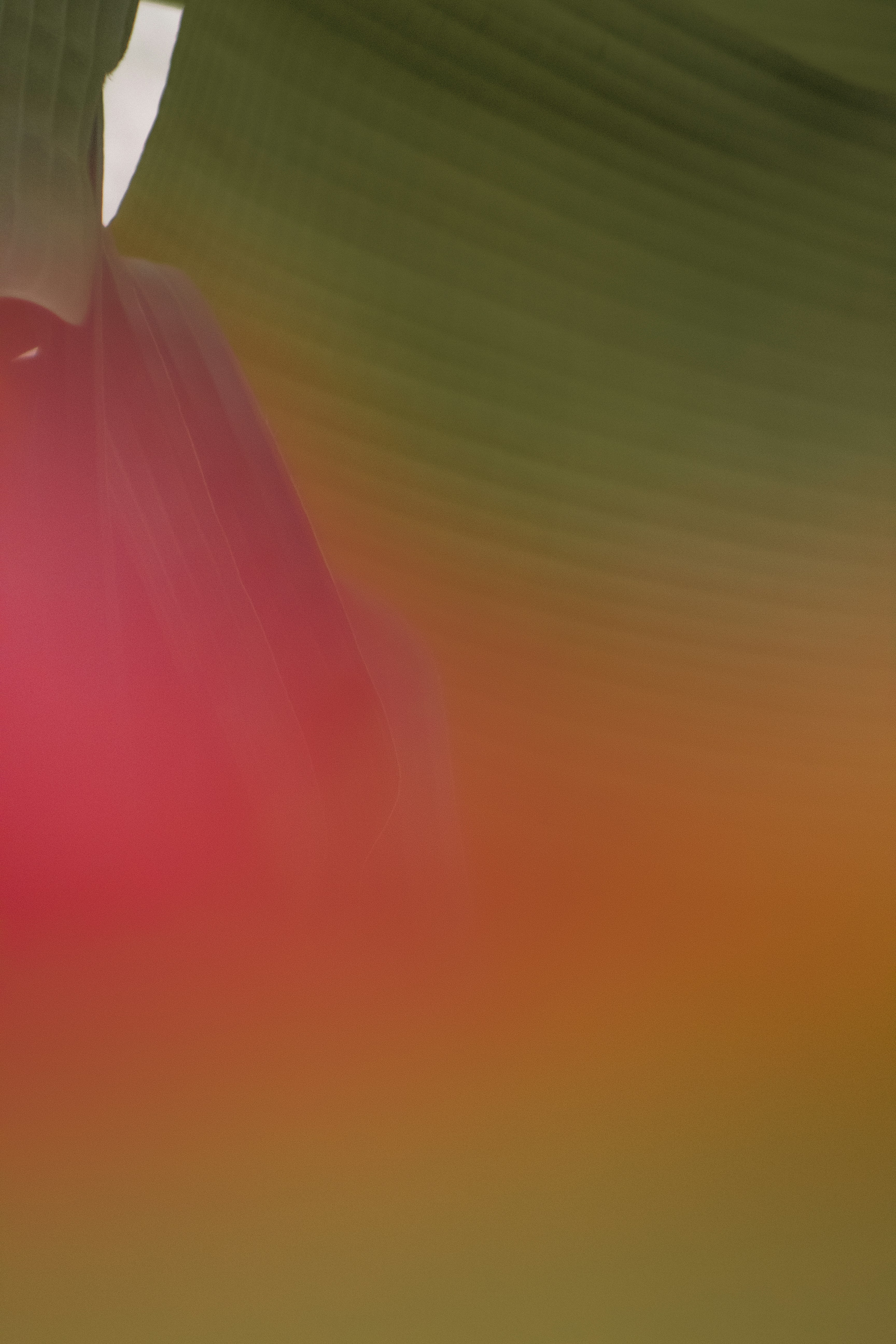 person in white shirt and white pants