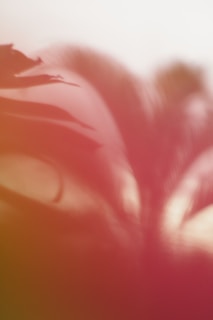 An abstract AI-generated image blending faces and nature, symbolizing love and loss.