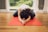 A person is practicing yoga on a red yoga mat indoors. They are in a child's pose position with arms extended forward and forehead touching the mat. The room has a wooden floor and large windows allowing natural light to enter.
