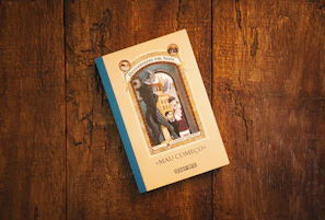 white and blue book on brown wooden table