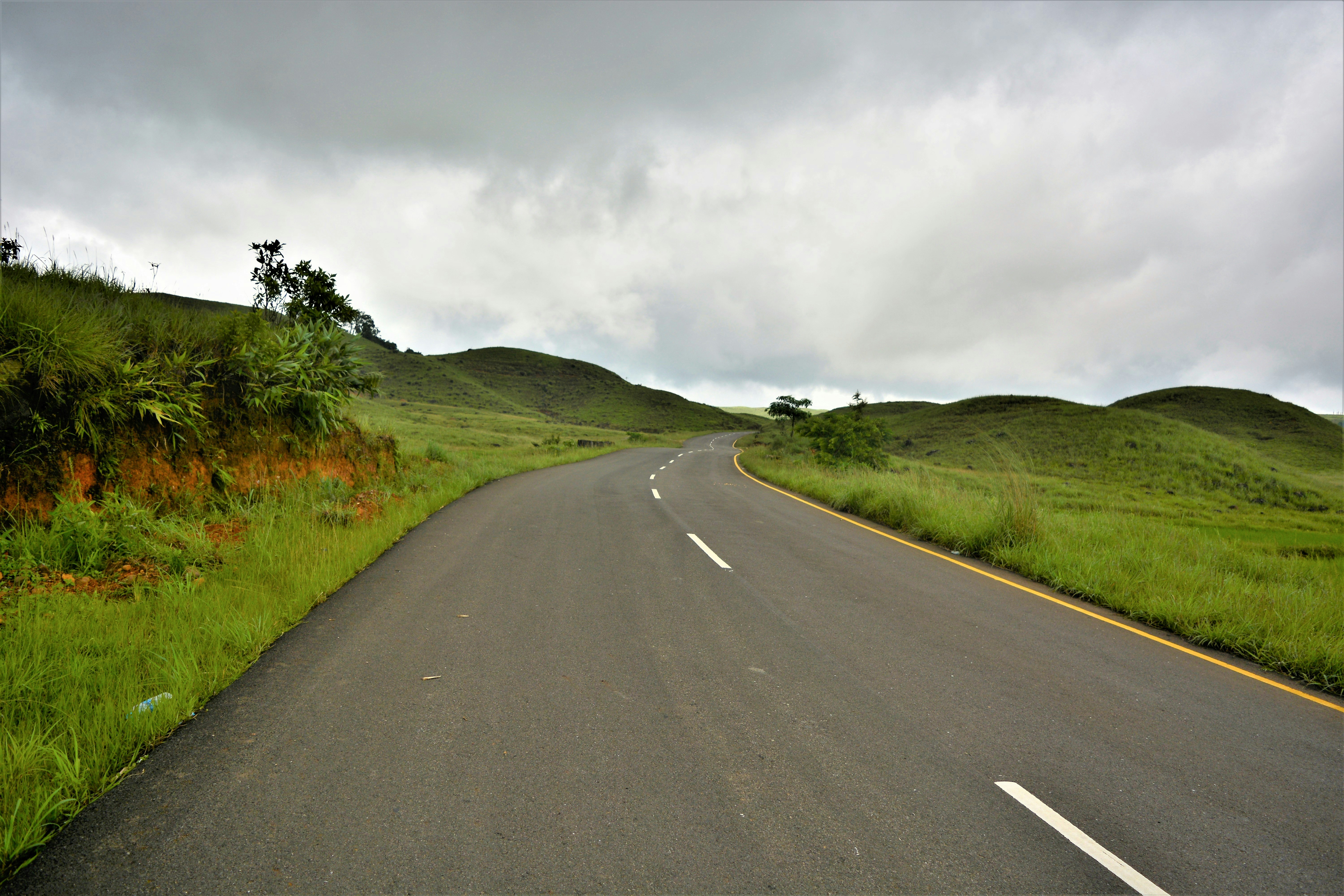 gray concrete road between green grass field under gray sky
