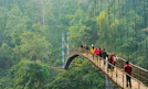 people walking on hanging bridge during daytime